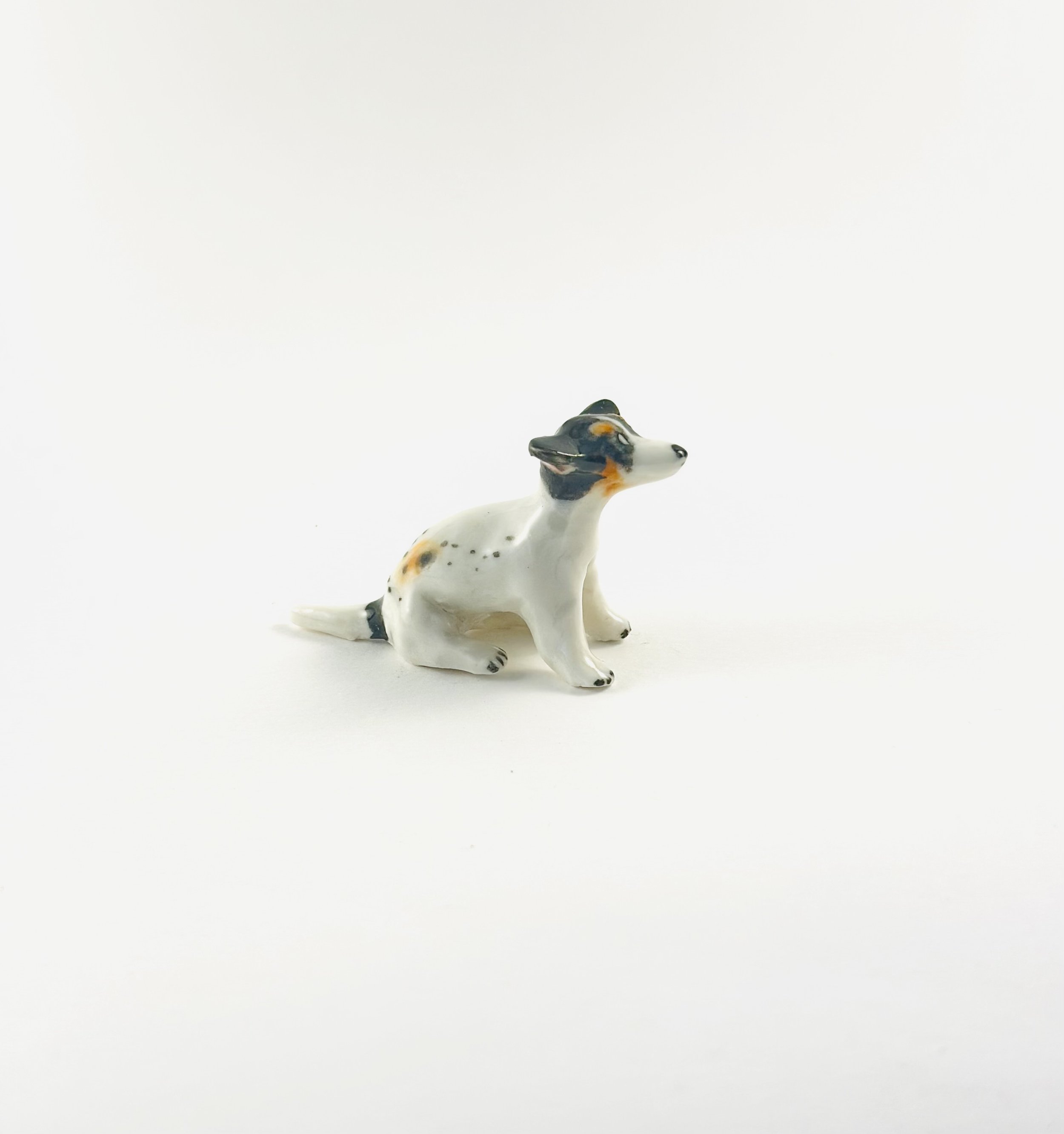 FOX TERRIER