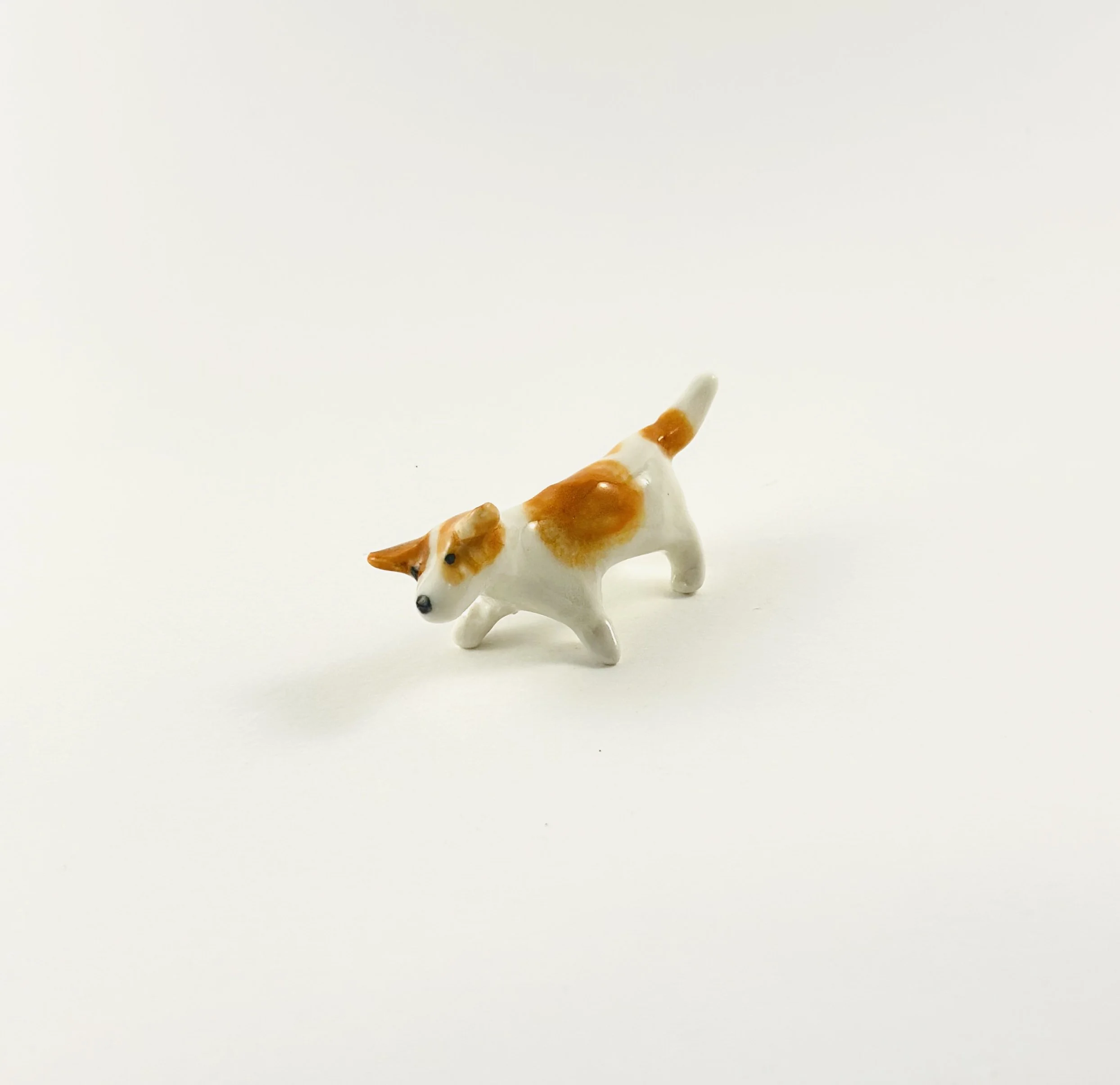 WHITE AND TAN JACK RUSSELL