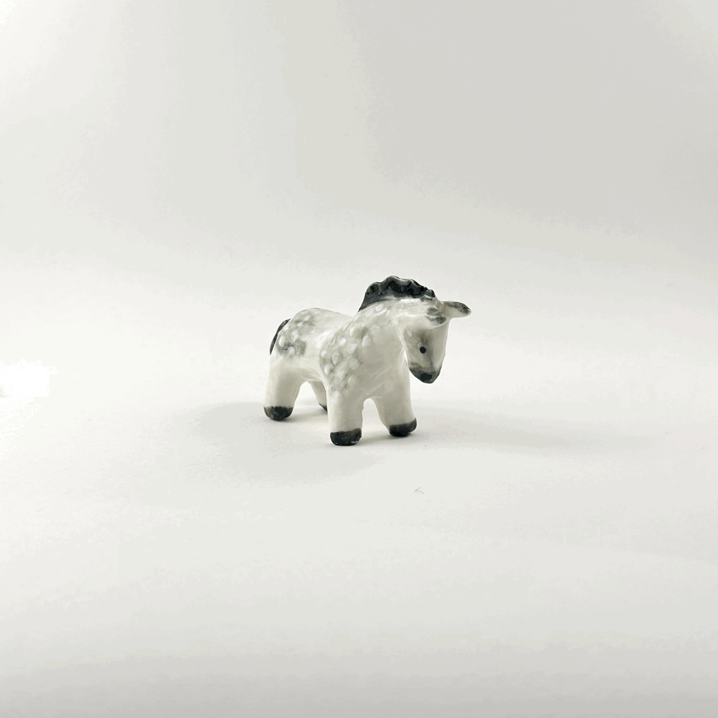 tempImagejgv6Ay.gif