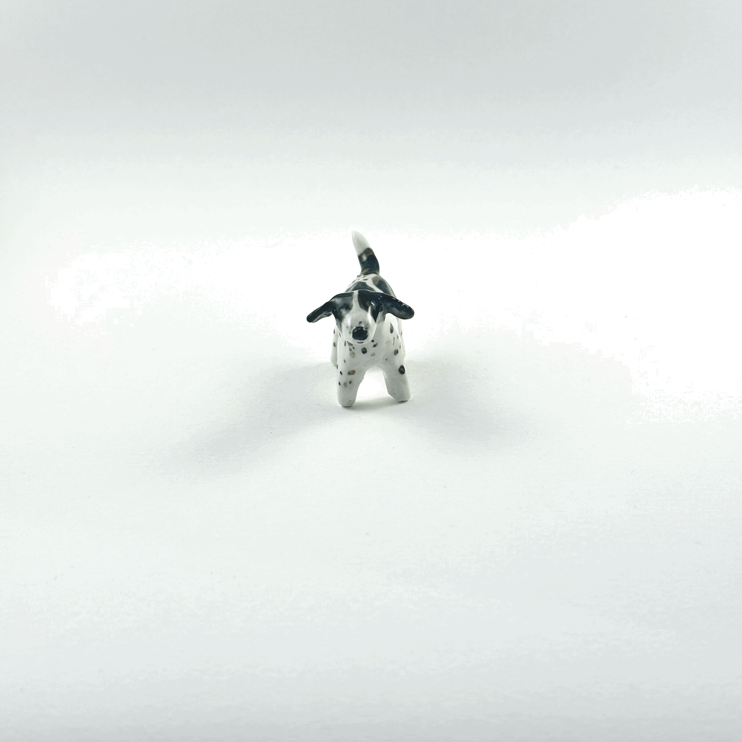 tempImageJdL6QK.gif