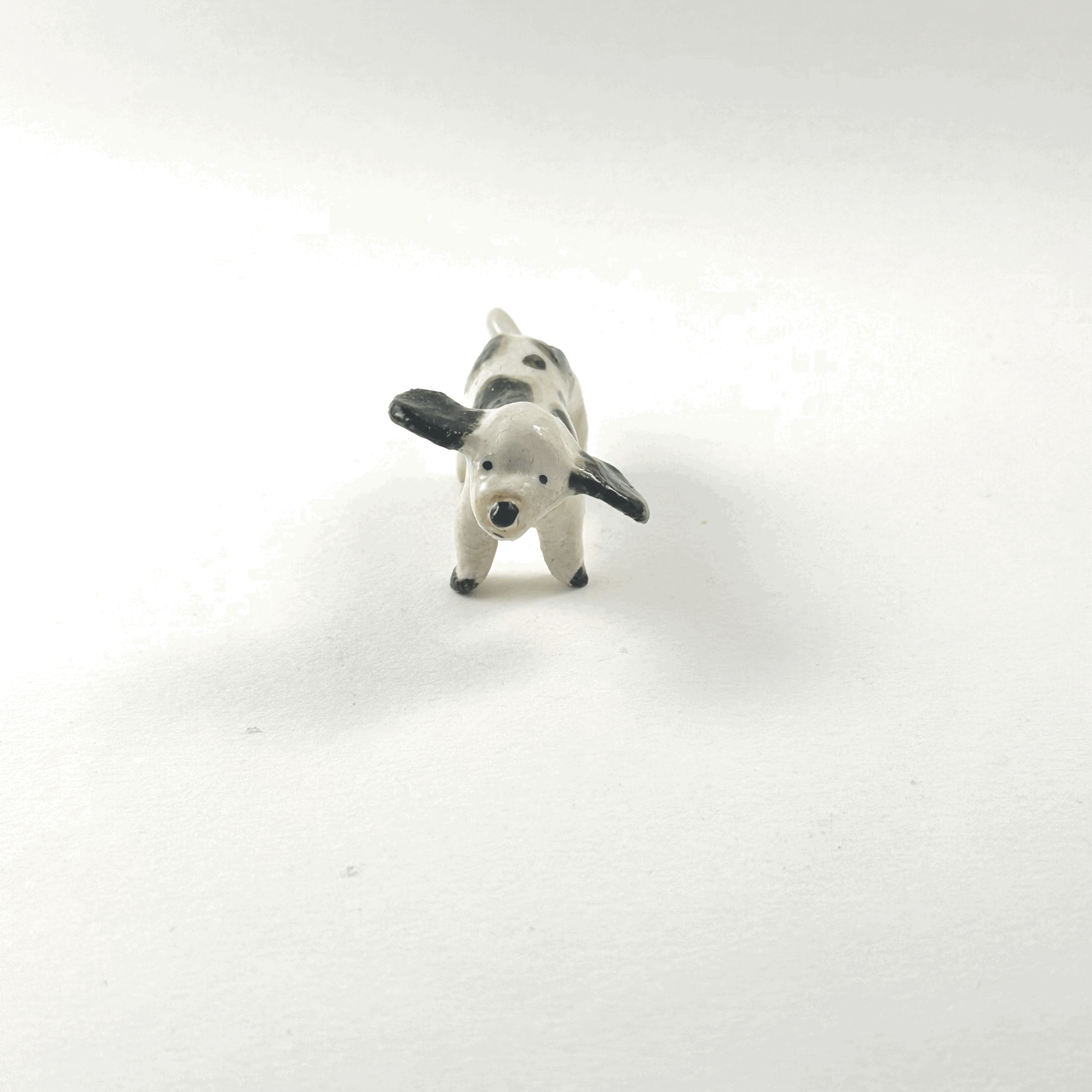 tempImageZhe8kN.gif