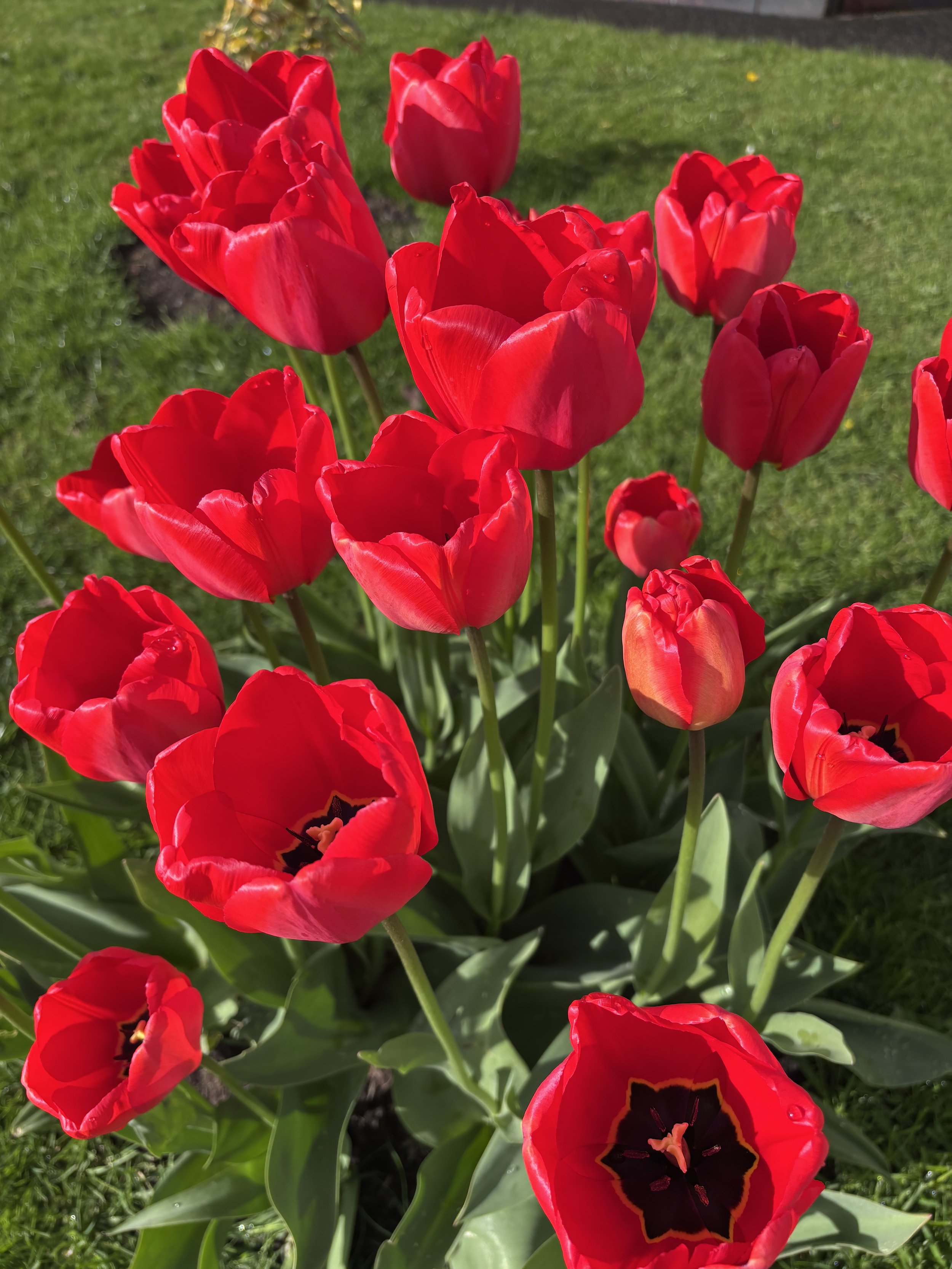 Photo 16-04-2026, 08 50 43.jpg