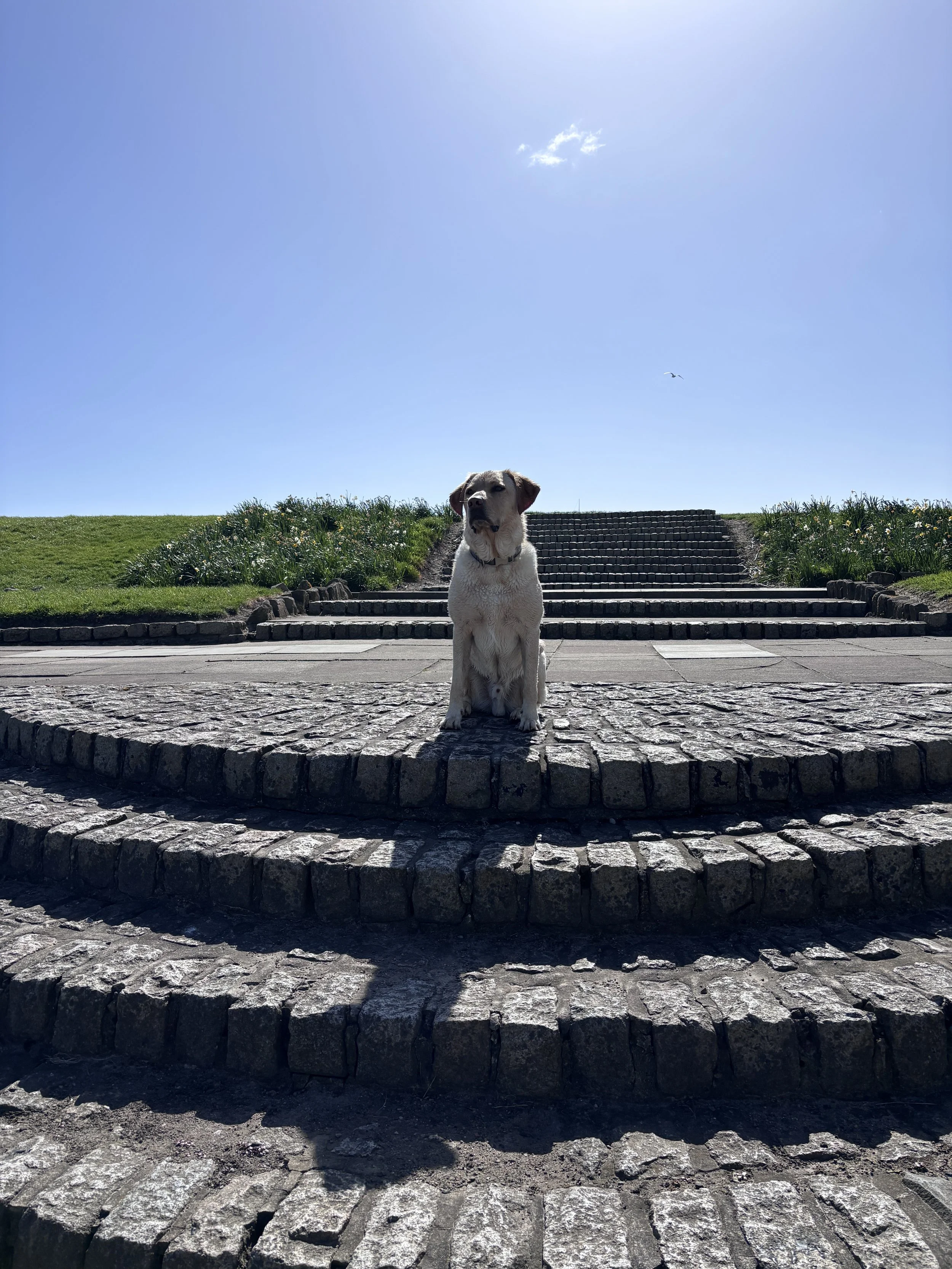 Photo 13-04-2026, 11 46 55.jpg