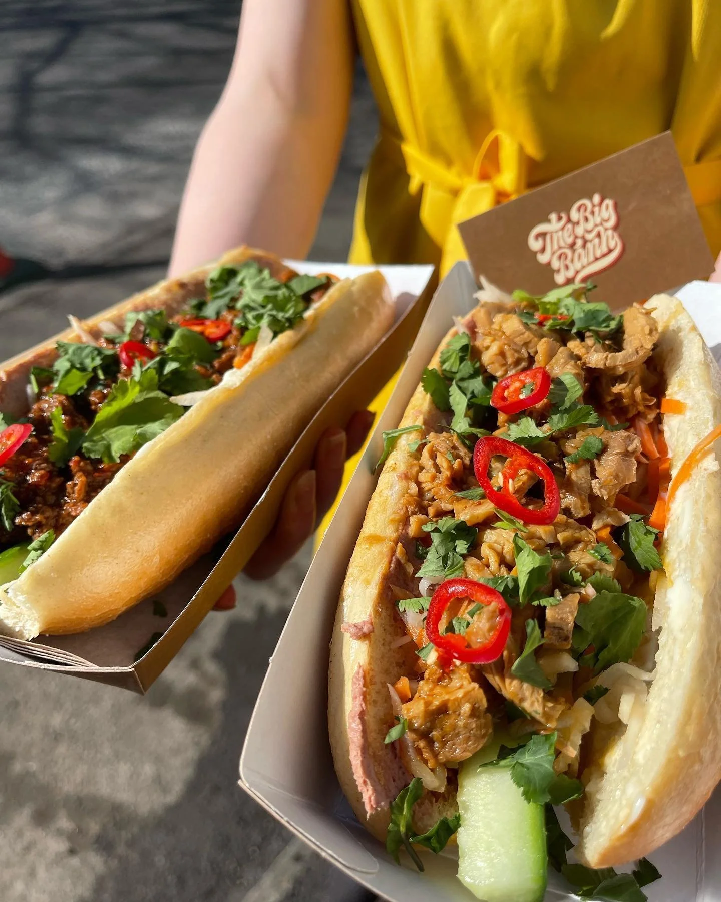 Two Vietnamese bánh mì sandwiches topped with herbs, chili peppers, and sliced vegetables on a sunny day.