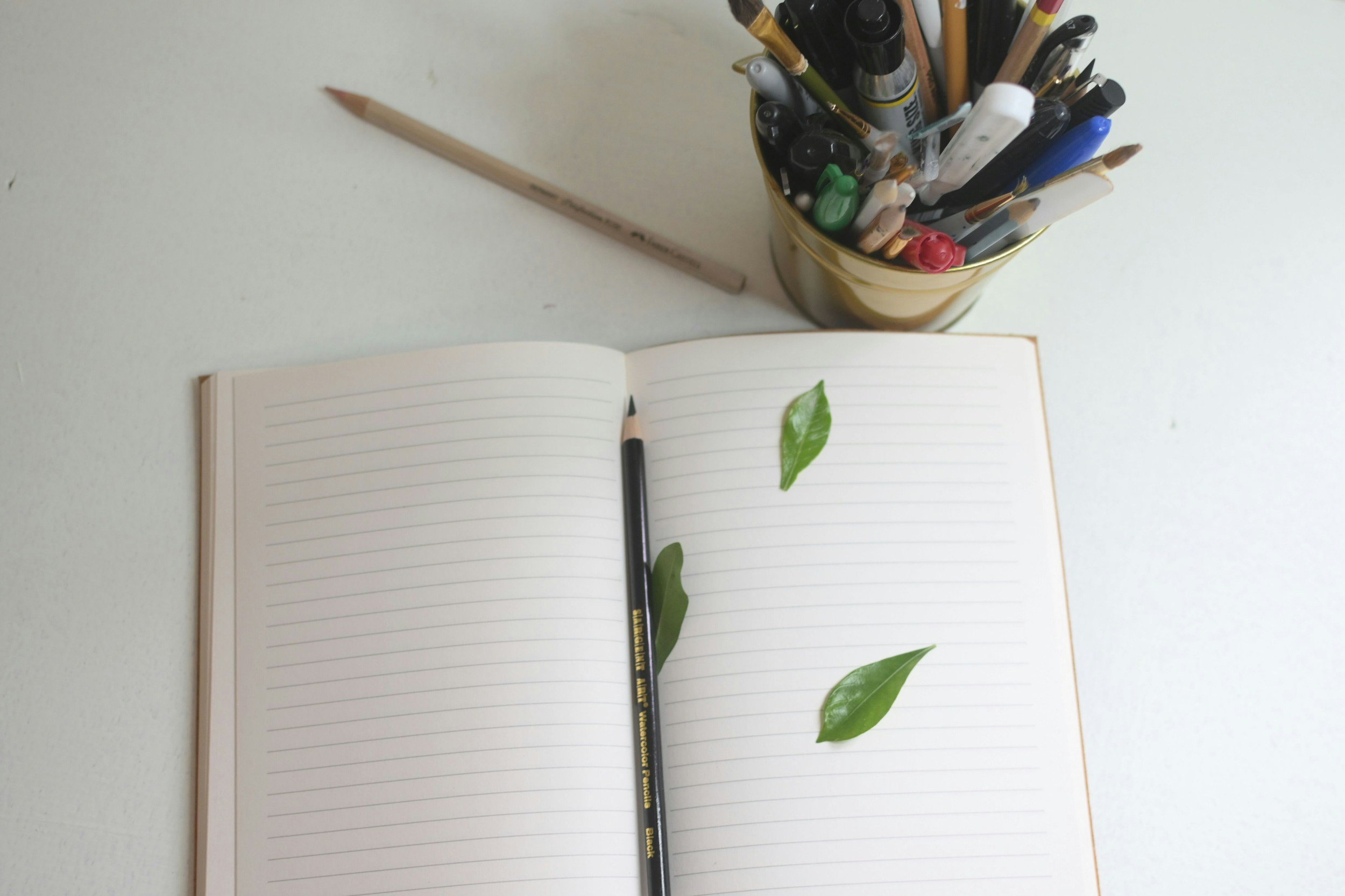Open notebook with three green leaves, a black pencil placed on the center, and a container holding various writing tools on a white surface.