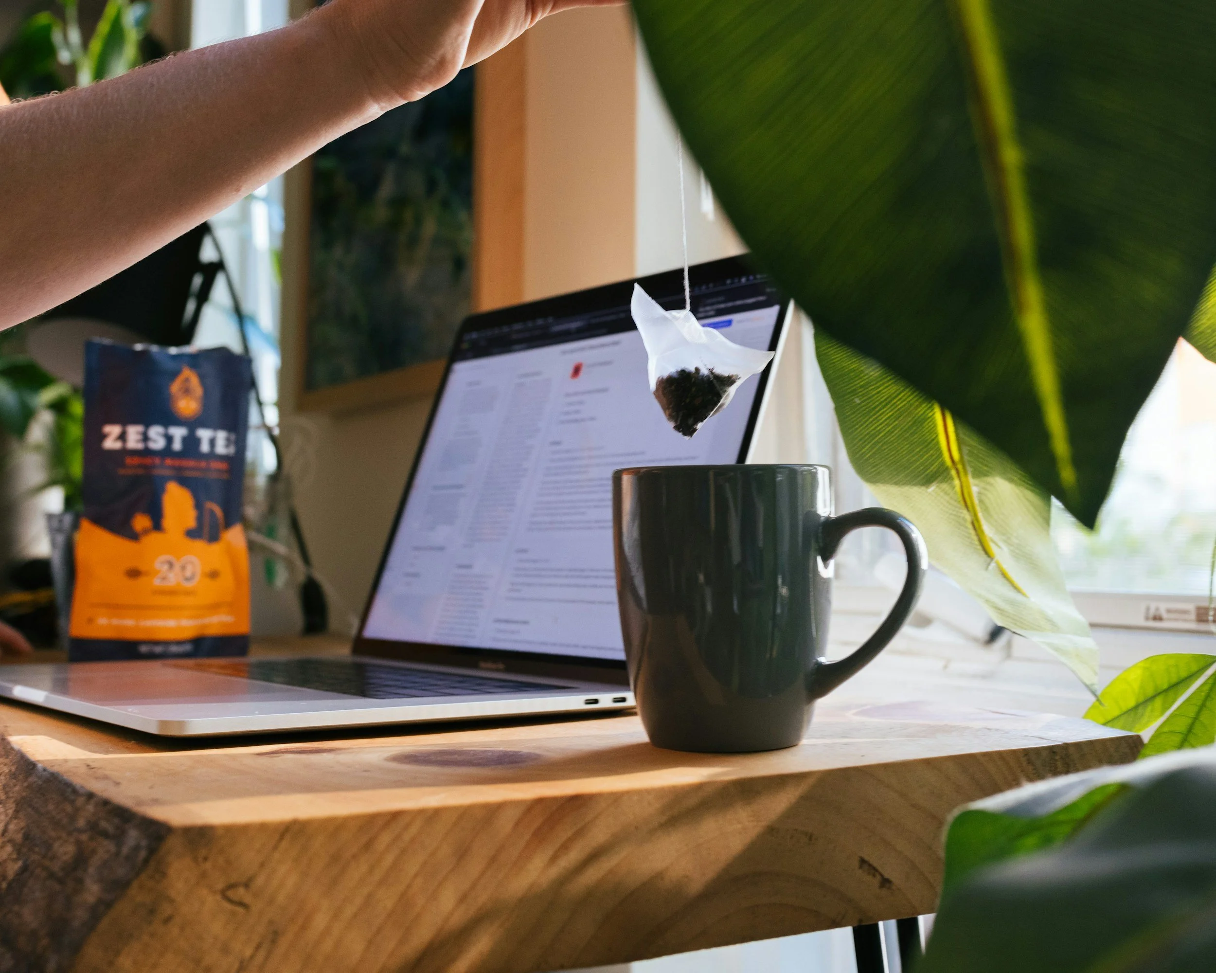 A workspace with a MacBook, a black coffee mug, a package of Zest Tea, a teabag hanging above the mug, and a laptop displaying an email or webpage, surrounded by green plants near a window.