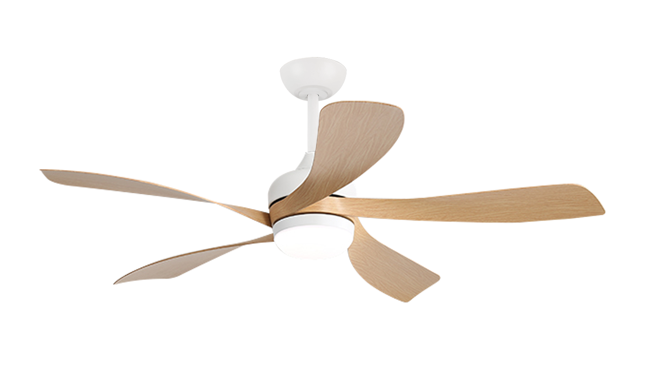 SLF-2555-LW.png