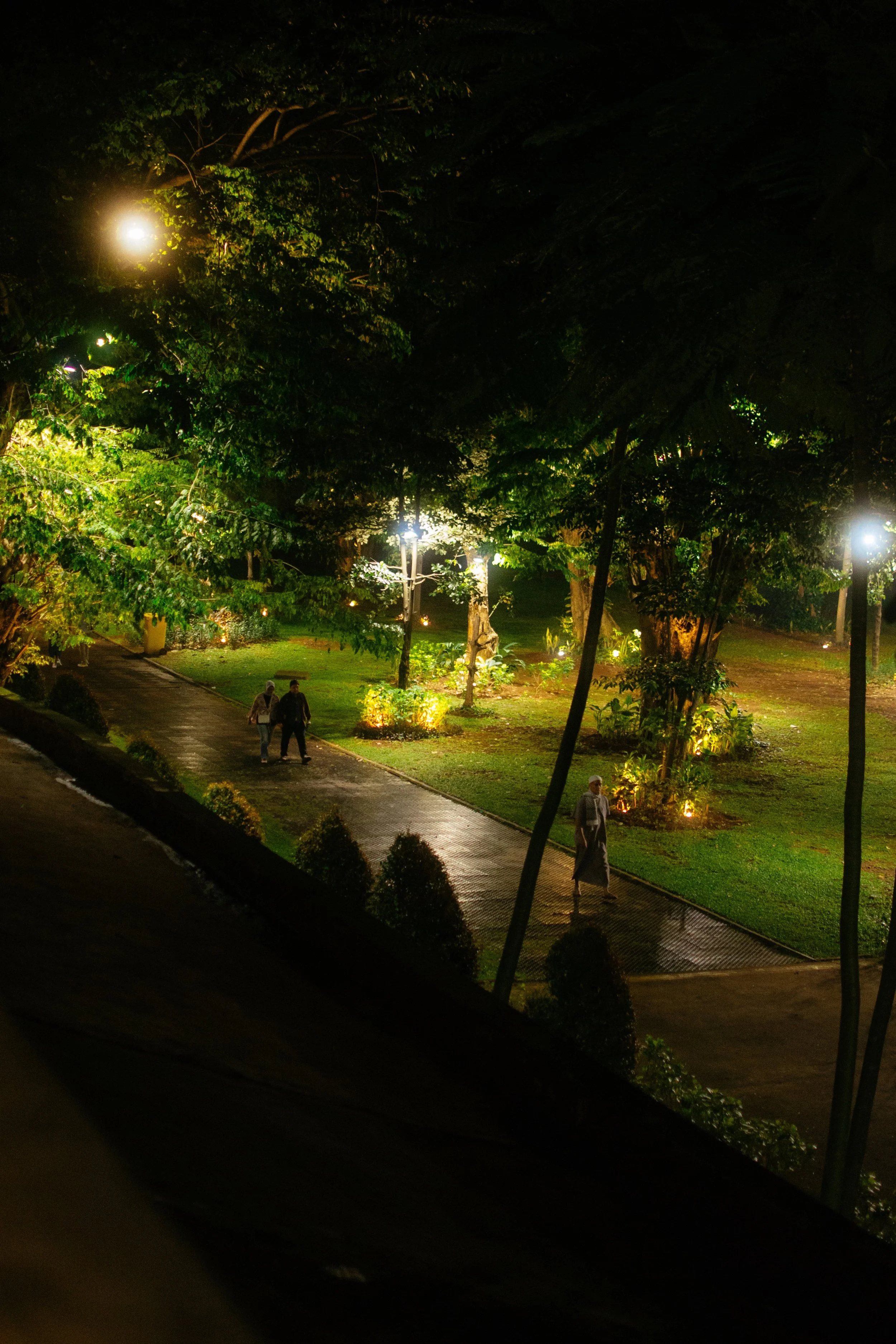 DSC_0042.jpeg