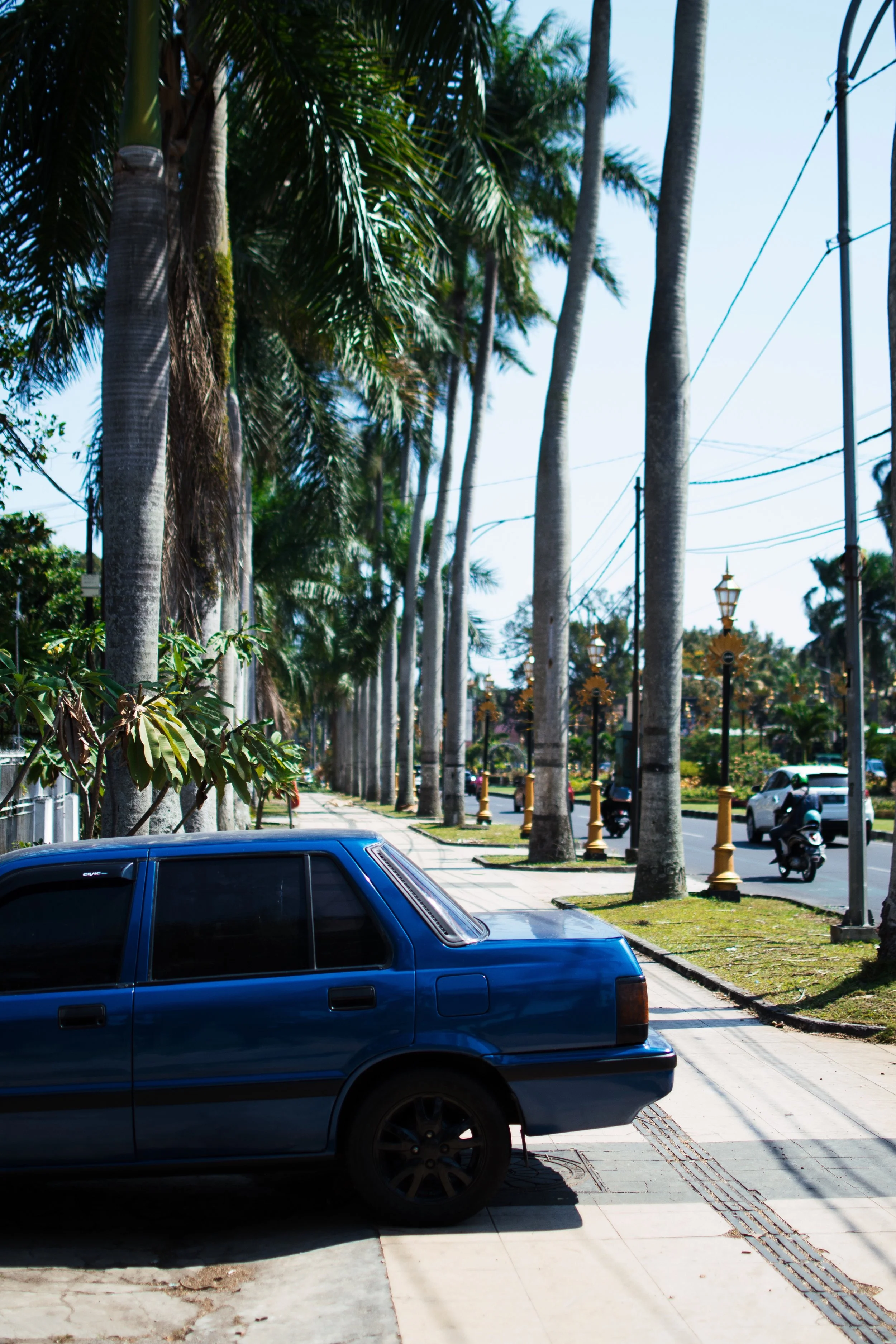 DSC_0251.jpeg