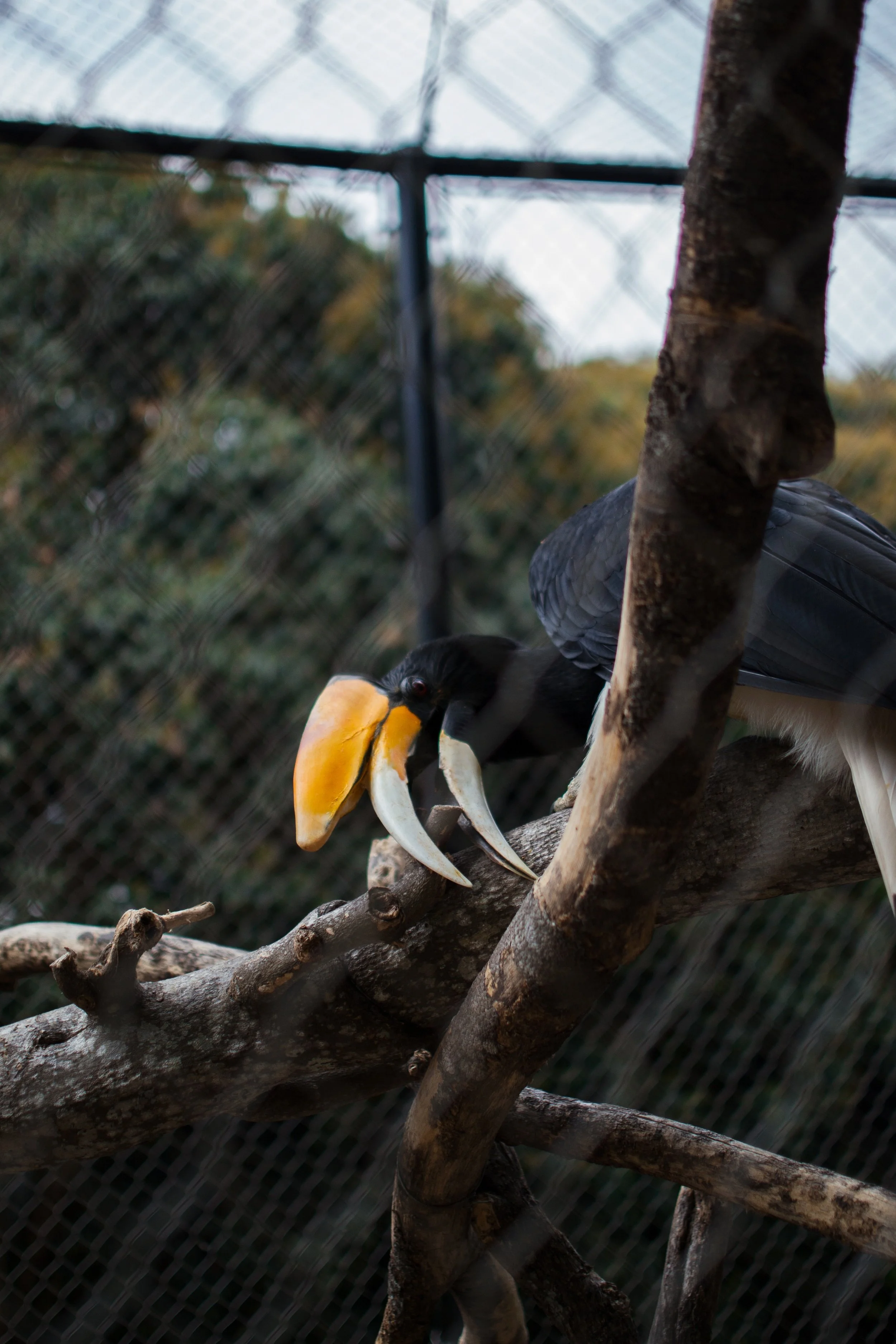 DSC_0595.jpeg