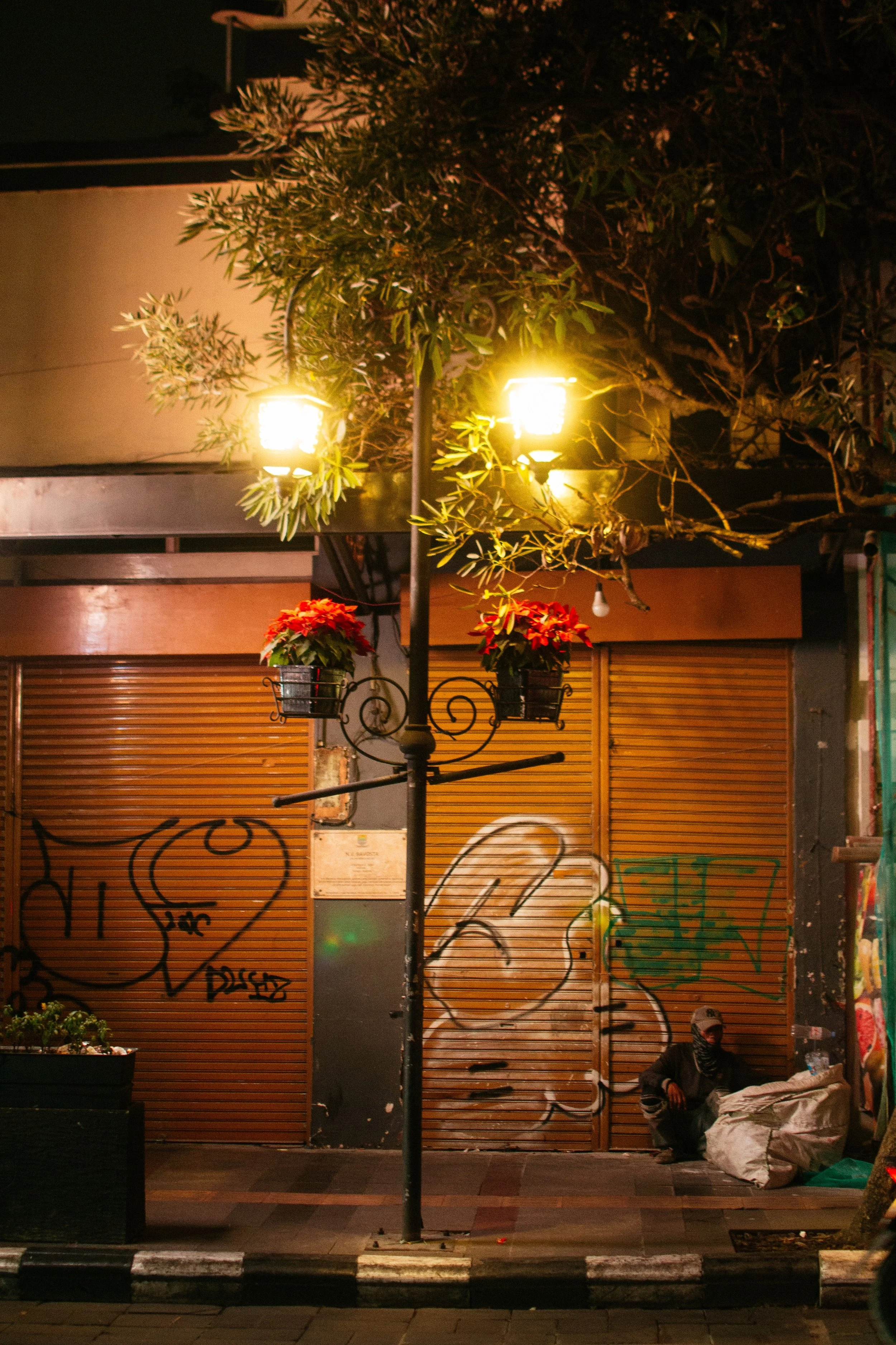 DSC_0262.jpeg