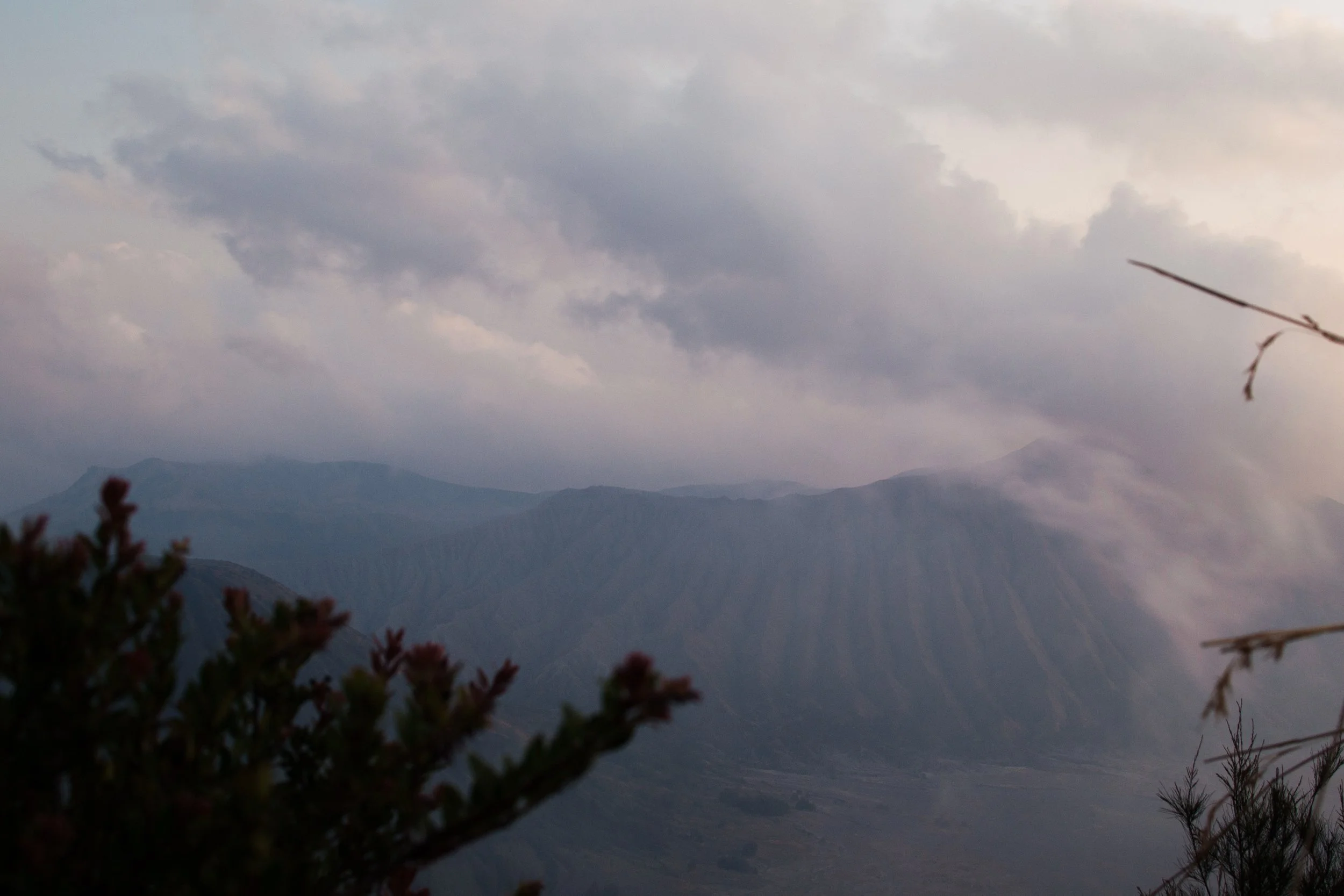 DSC_0708.jpeg