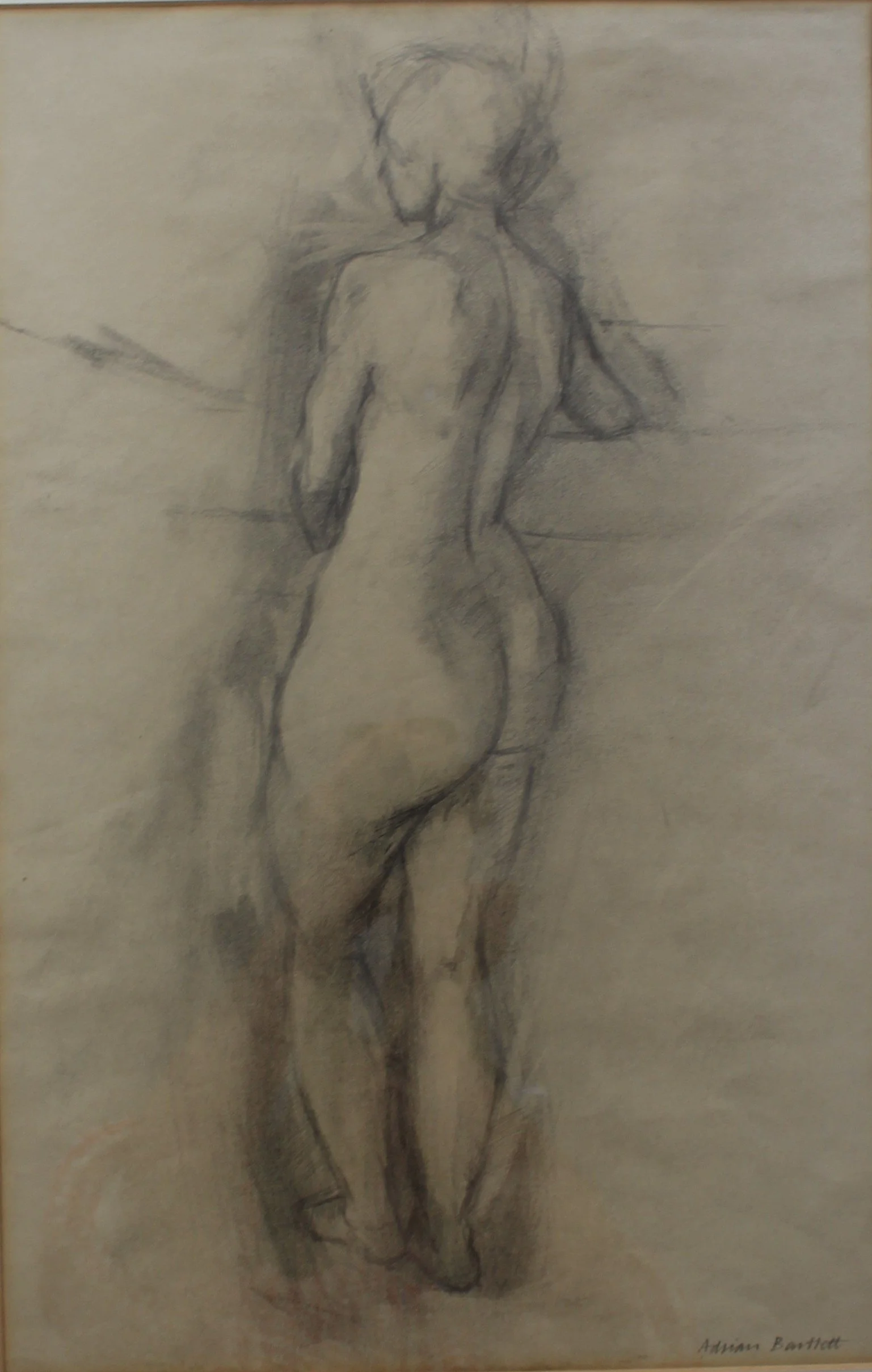 Standing Nude - 1961 - Pencil on paper - 44 x 29 cm