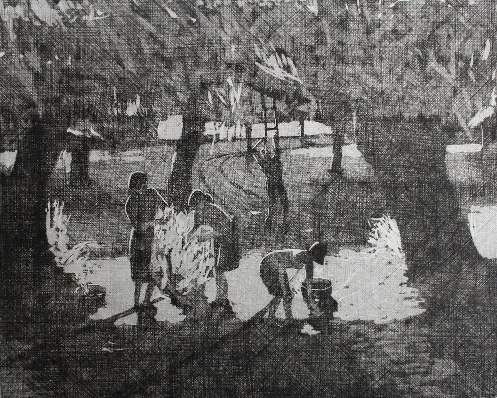 Gathering Olives - 1990 - Etching - 50 x 60 cm