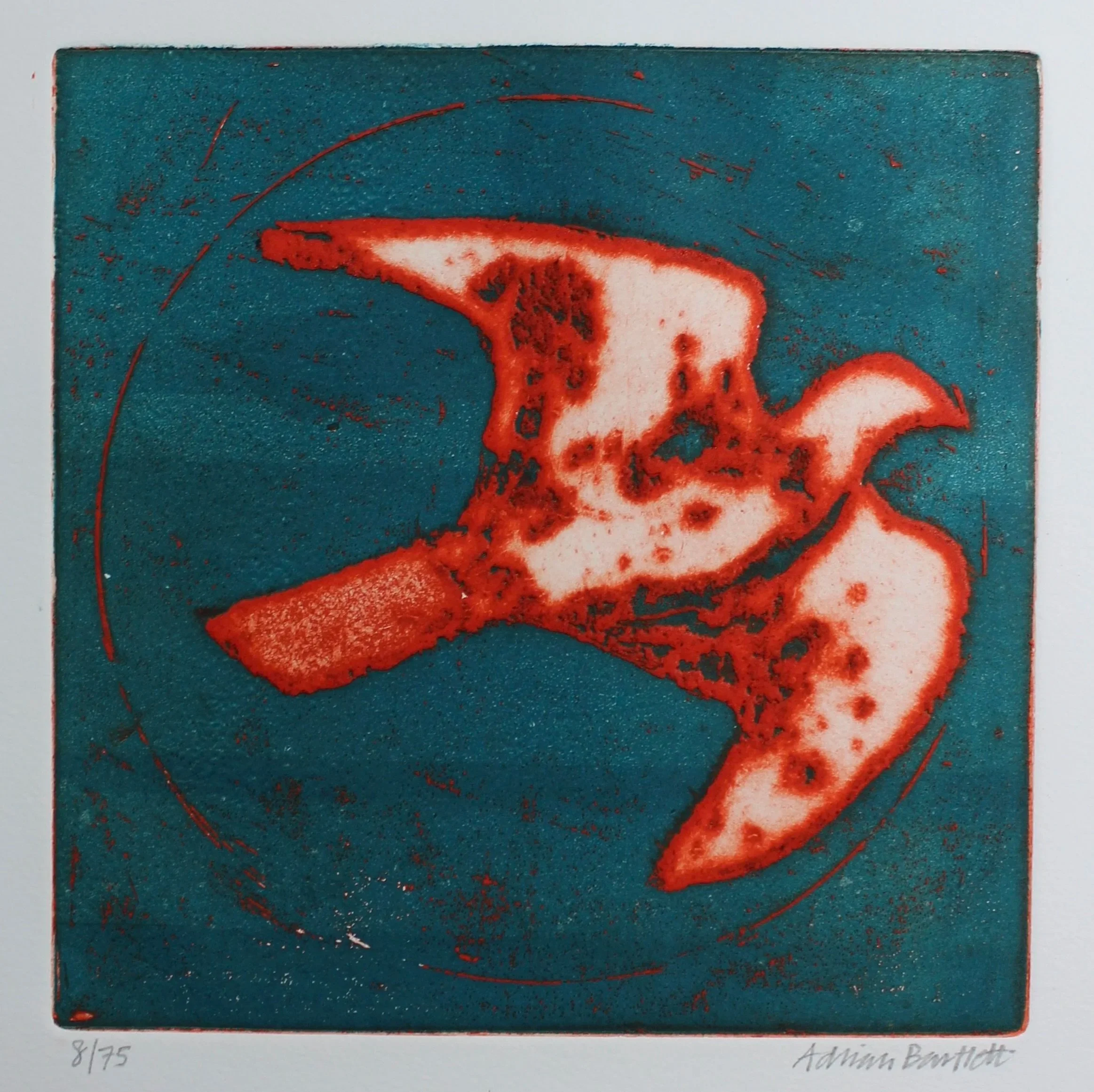 Plover - 1996 - Etching - 20 x 20 cm