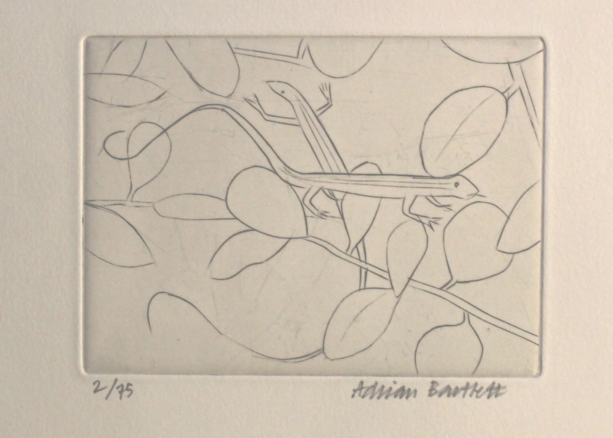 Lizards & Capers - 1999 - Engraving - 10 x 14 cm