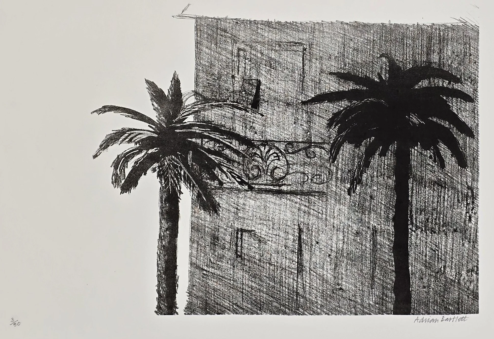 Two Palms, Nice - 2003 - Lithograh - 27 x 36 cm