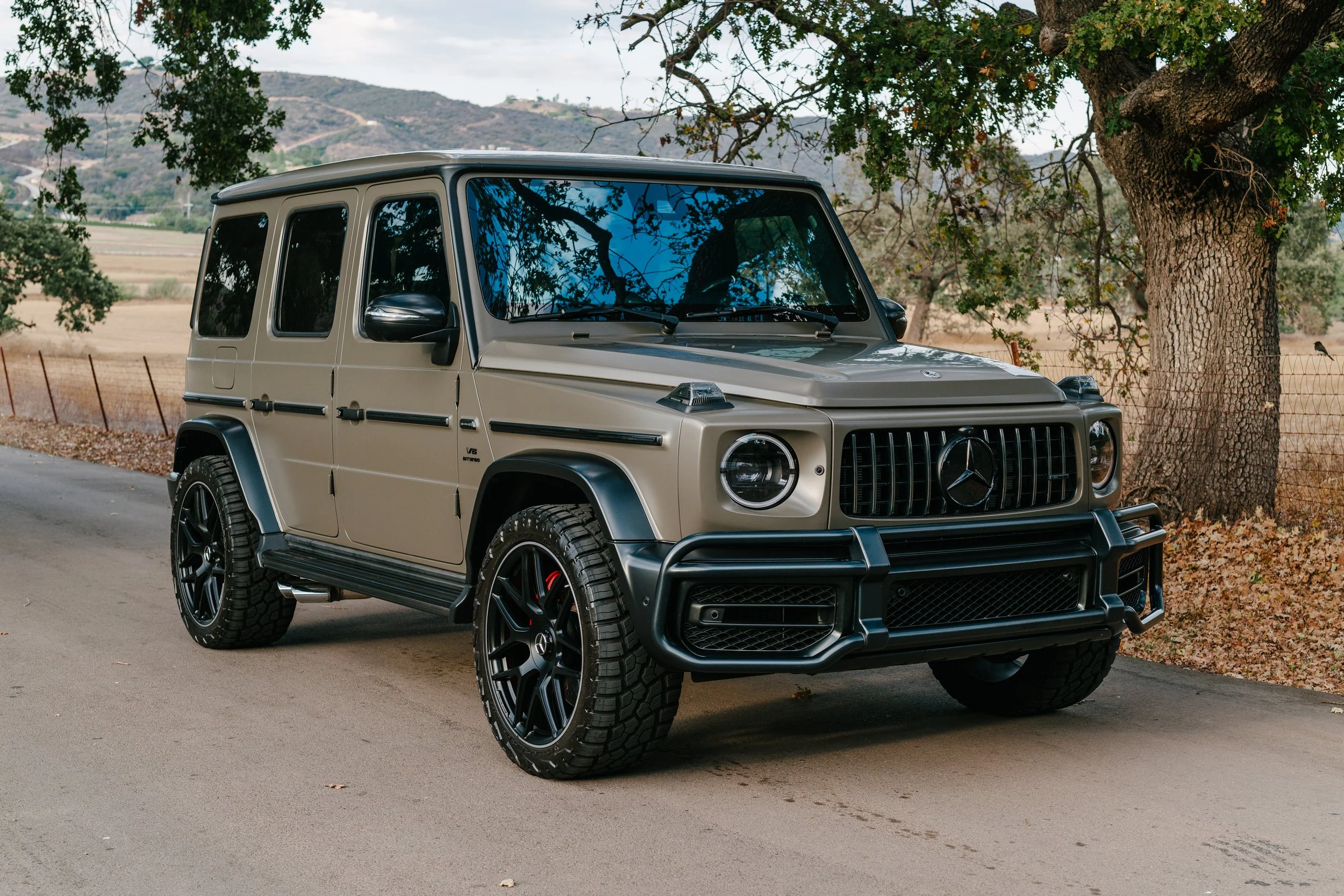 A beige Mercedes-Benz G-Class SUV parked on a rural road with a tree in the background.