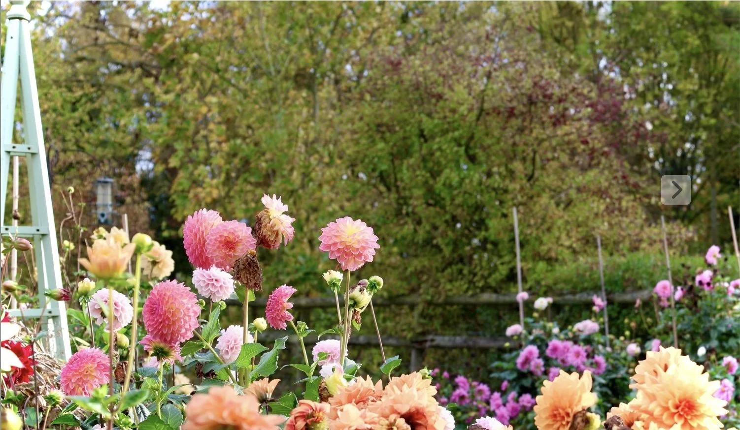 Image 26-11-2025 at 18.03.jpeg