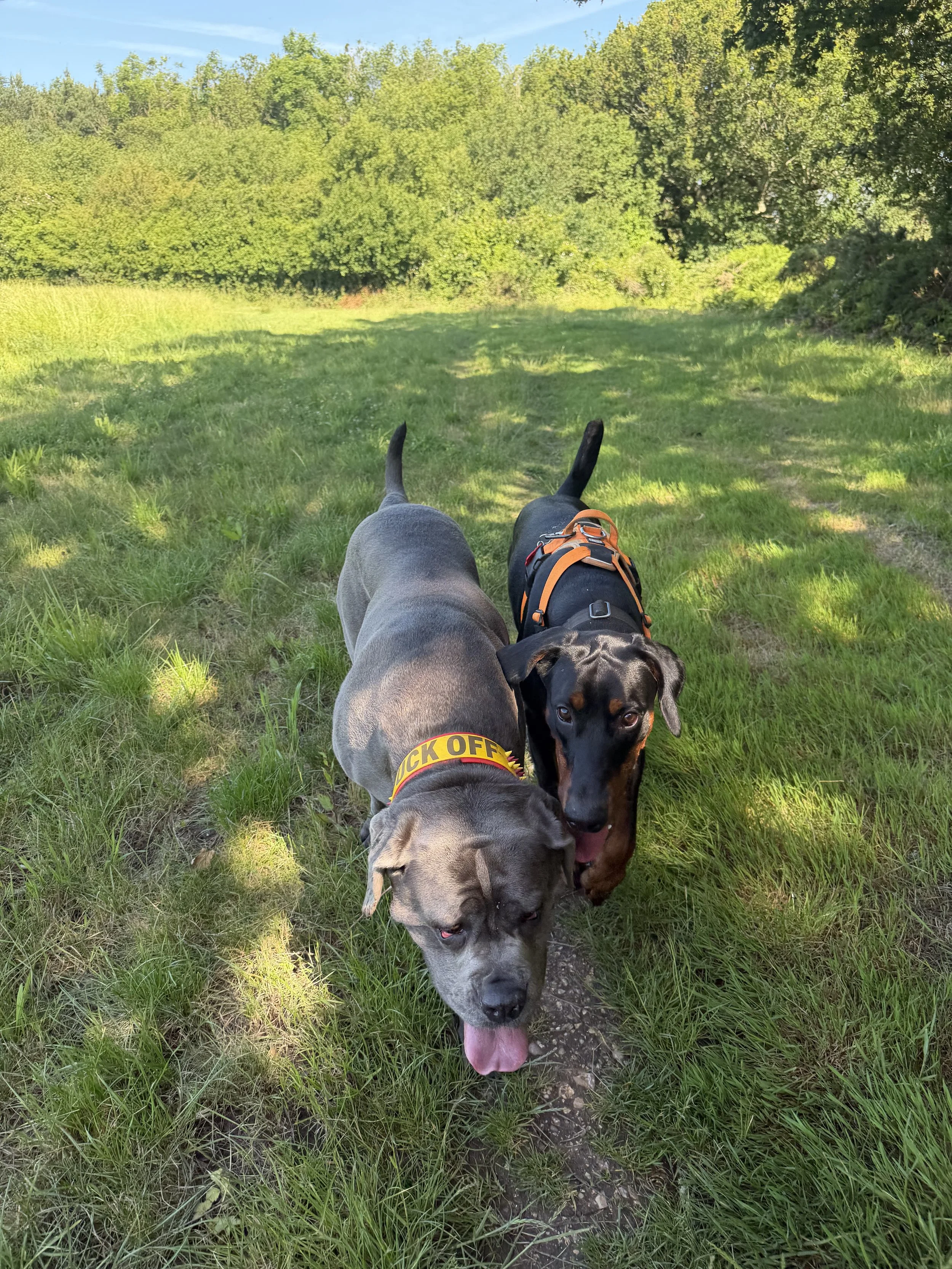 IMG_0726.jpeg
