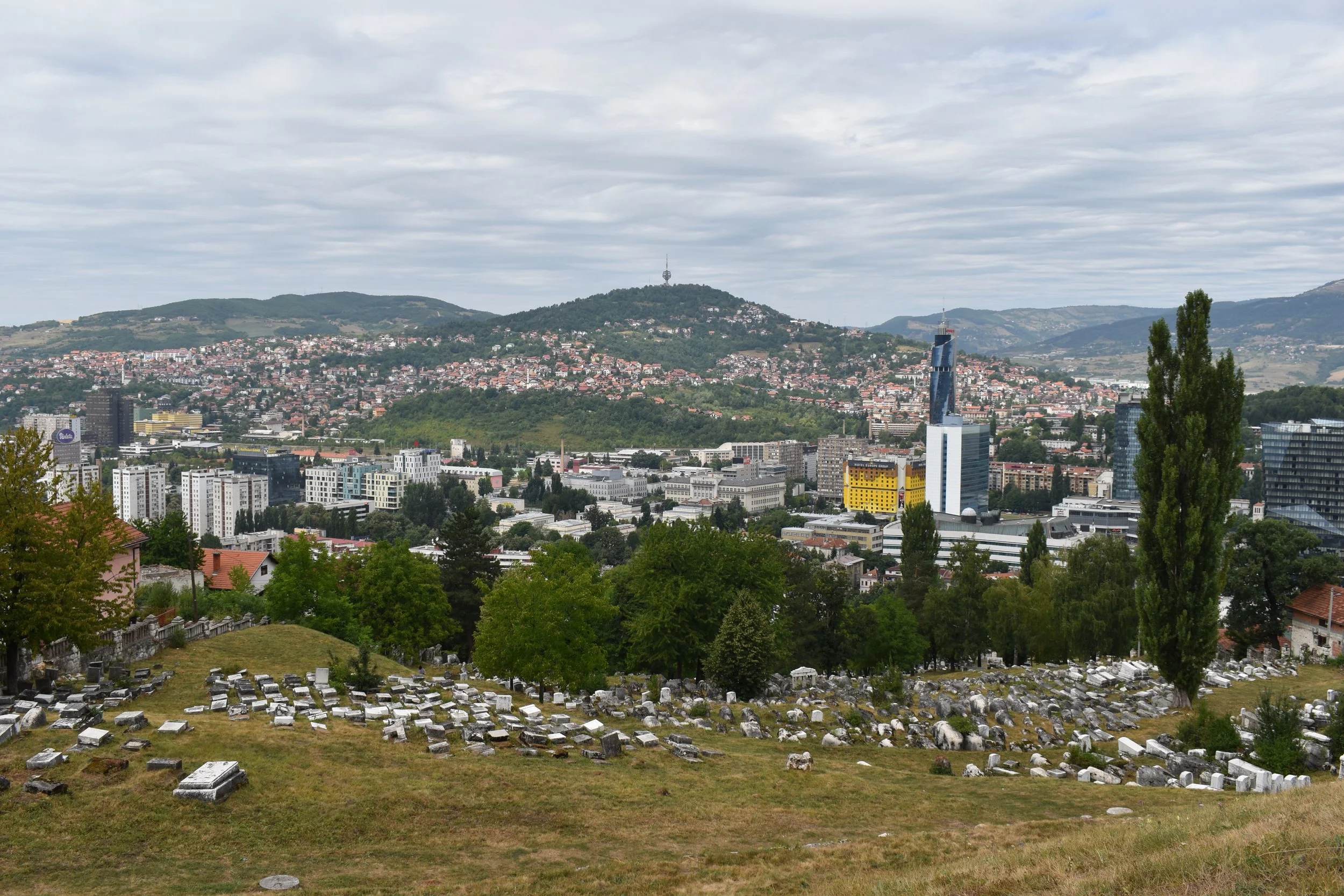 BOS 3.JPG
