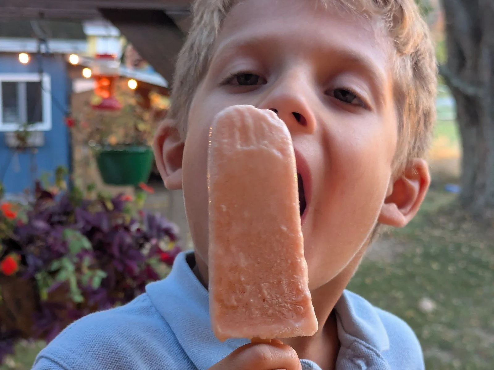 hc2_paleta_kid.jpg