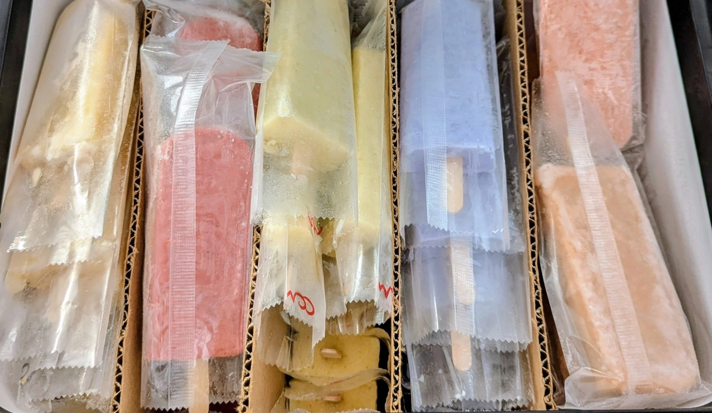 Paleta Party Pack — 12-Pack