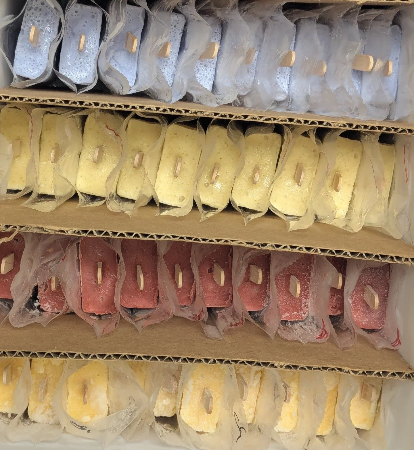 Paletas — Ready Now