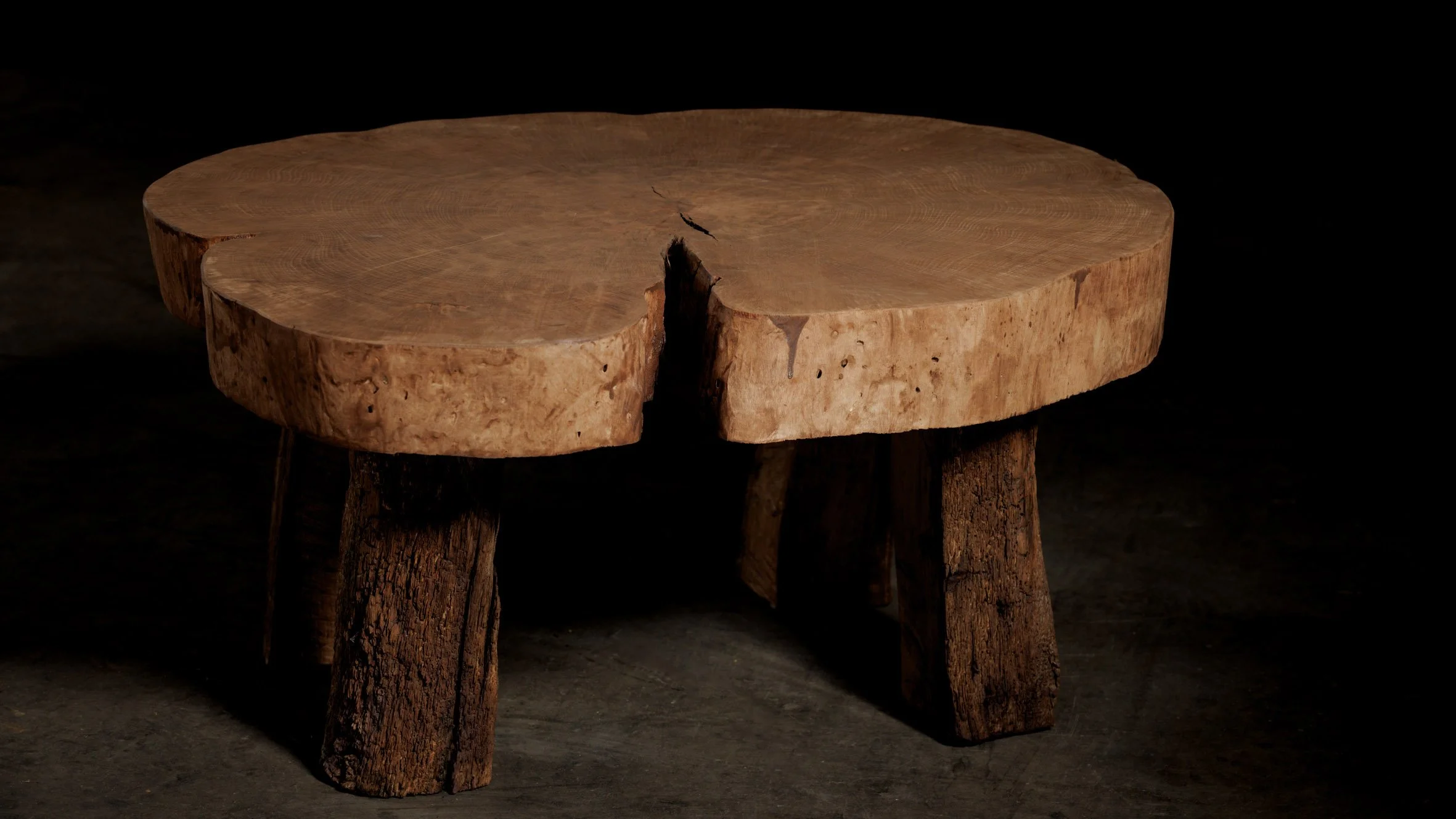 Boomstamschijf salontafel