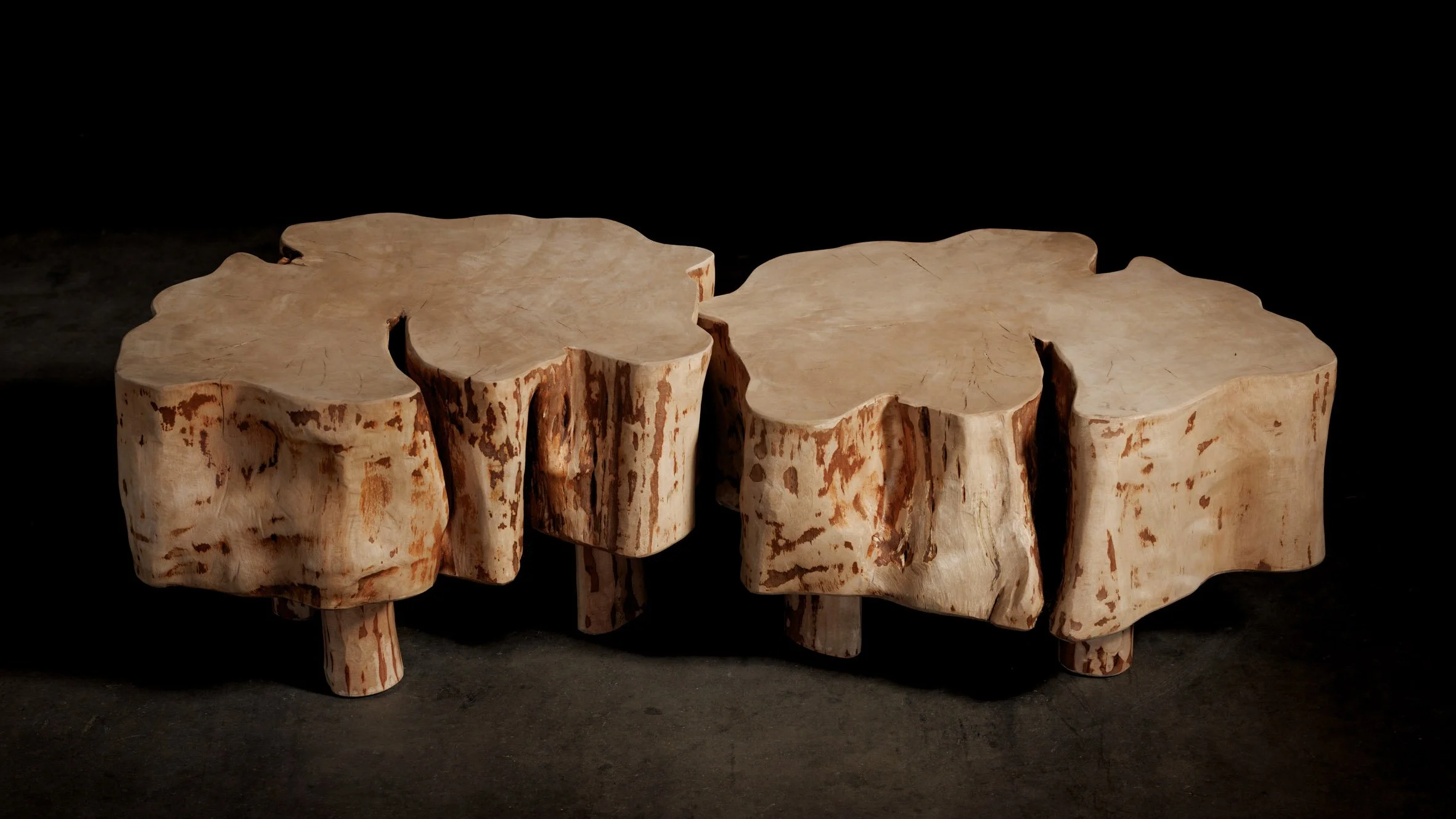 Boomstam Salontafel Set