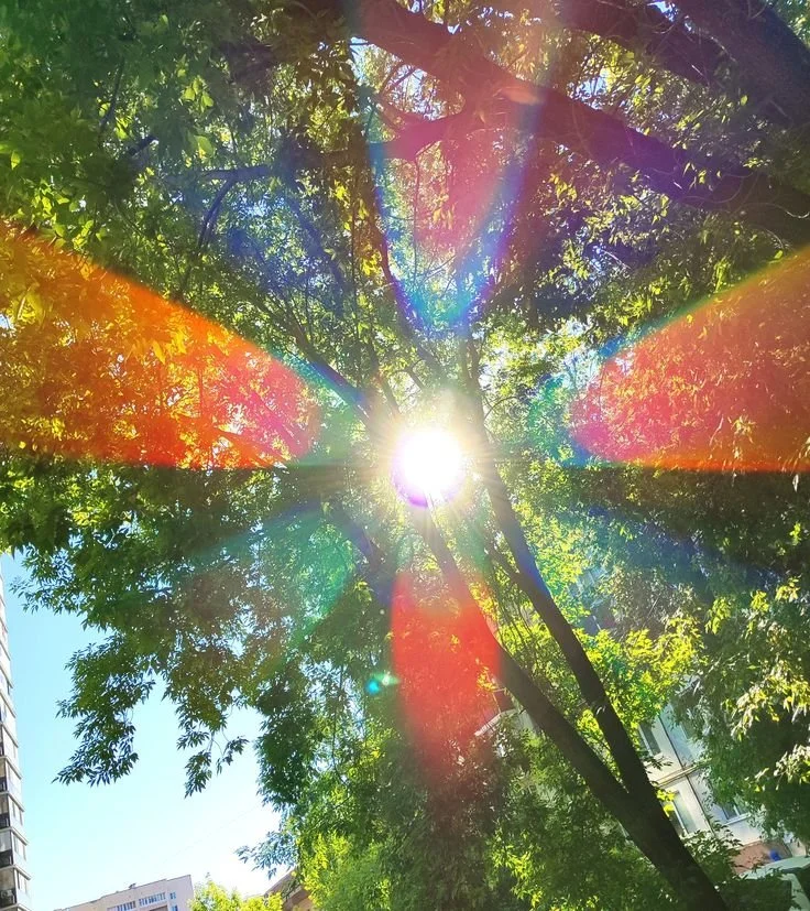 The Emotional Meaning Behind Random Moments in Your Day