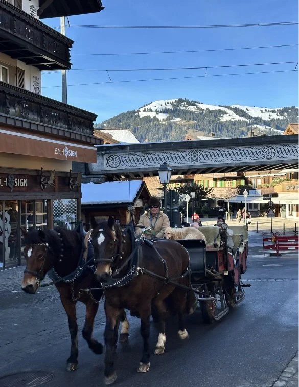 Concierge in Switzerland