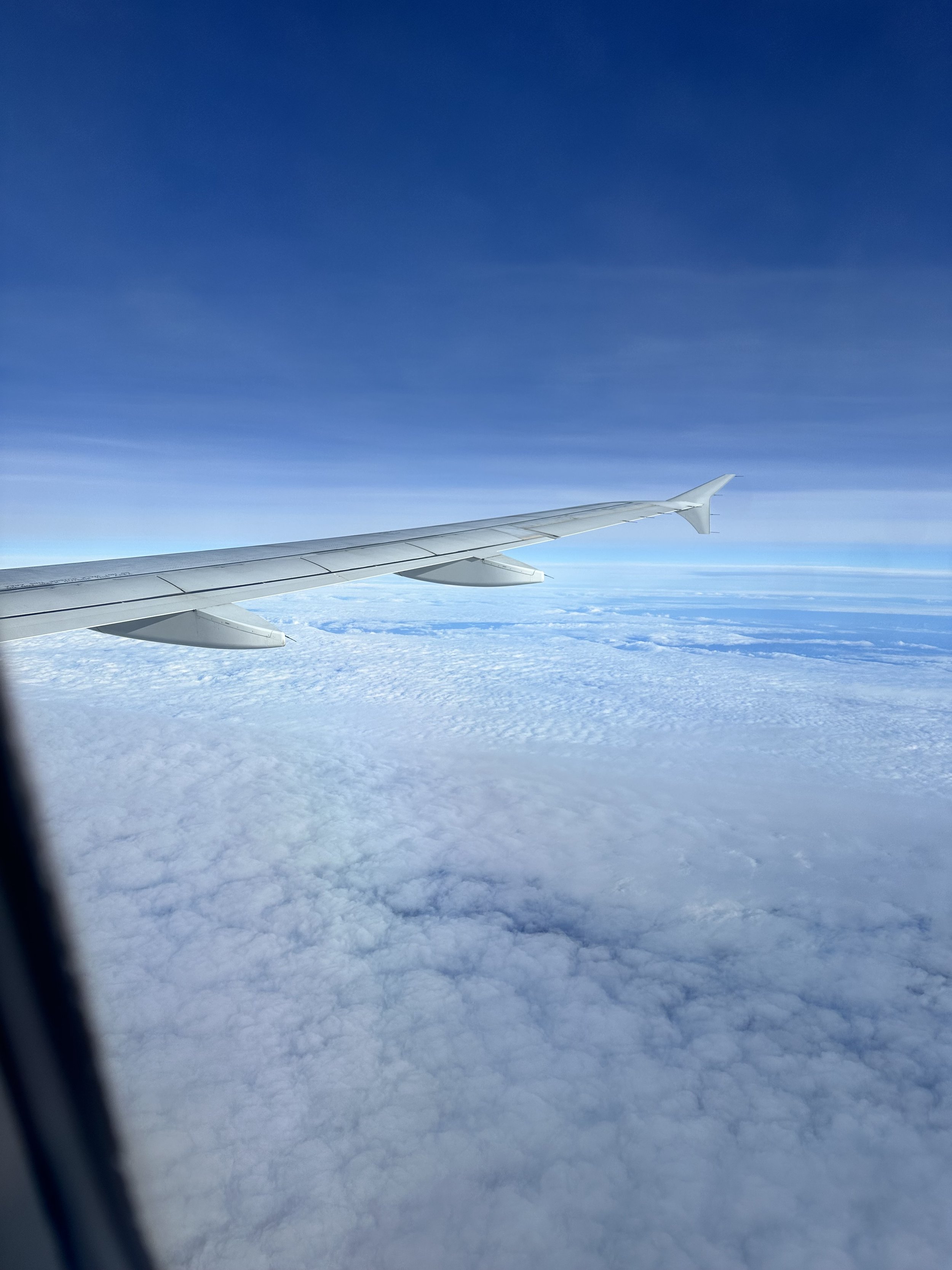 Private jet charter arranged by worldwide concierge service