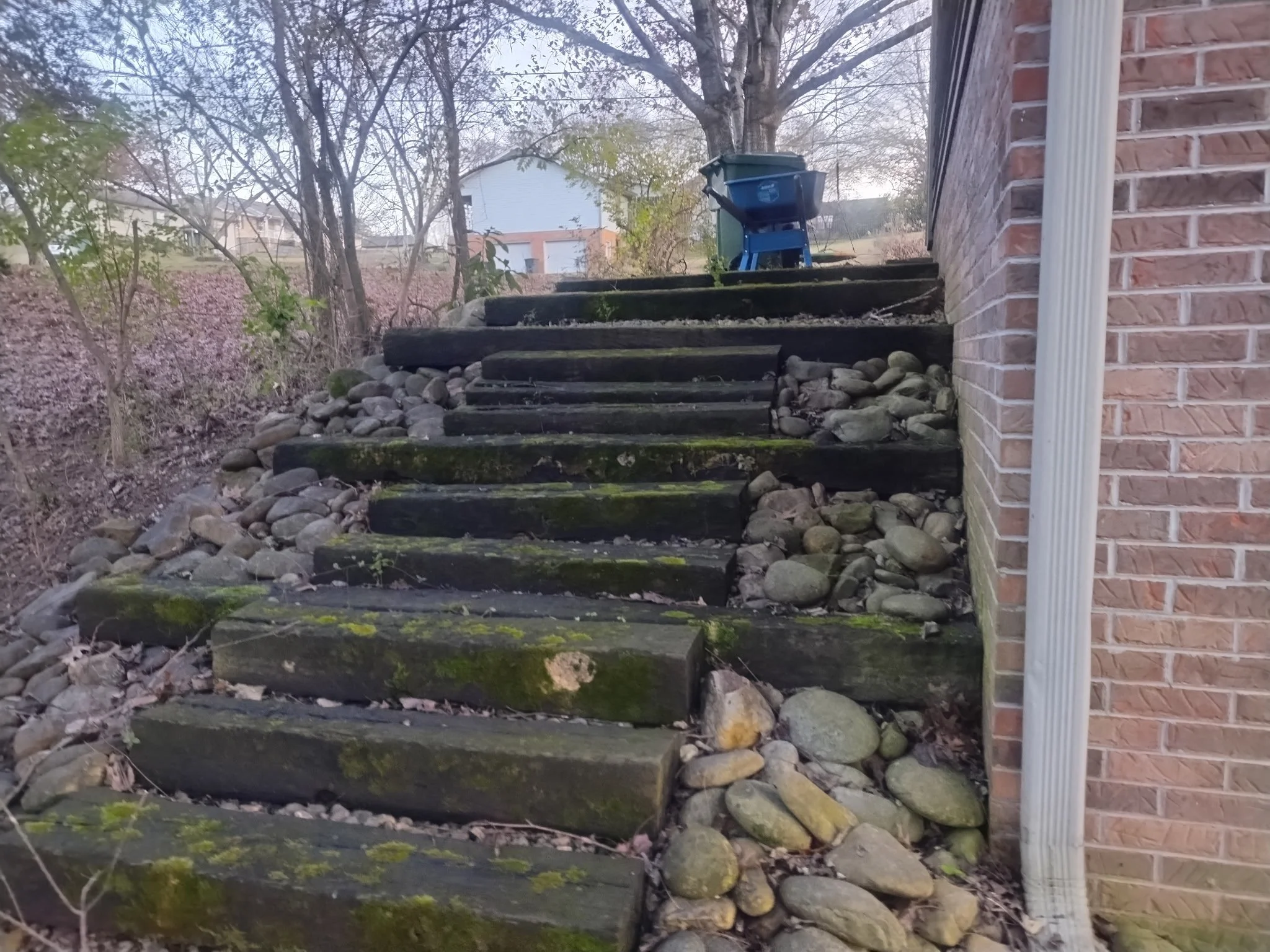 leaf cleanup knoxville tennessee