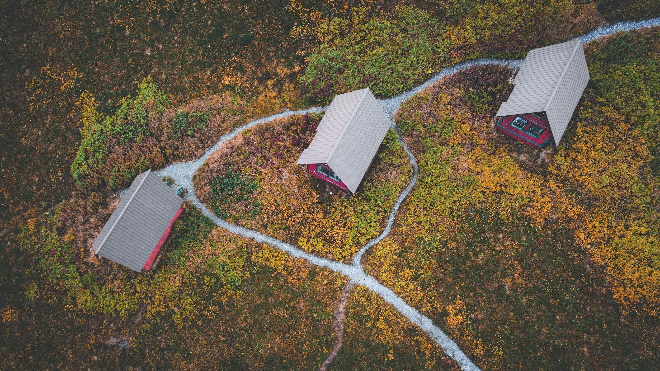 unsplash-image-s5p2-I9i1oM.jpg
