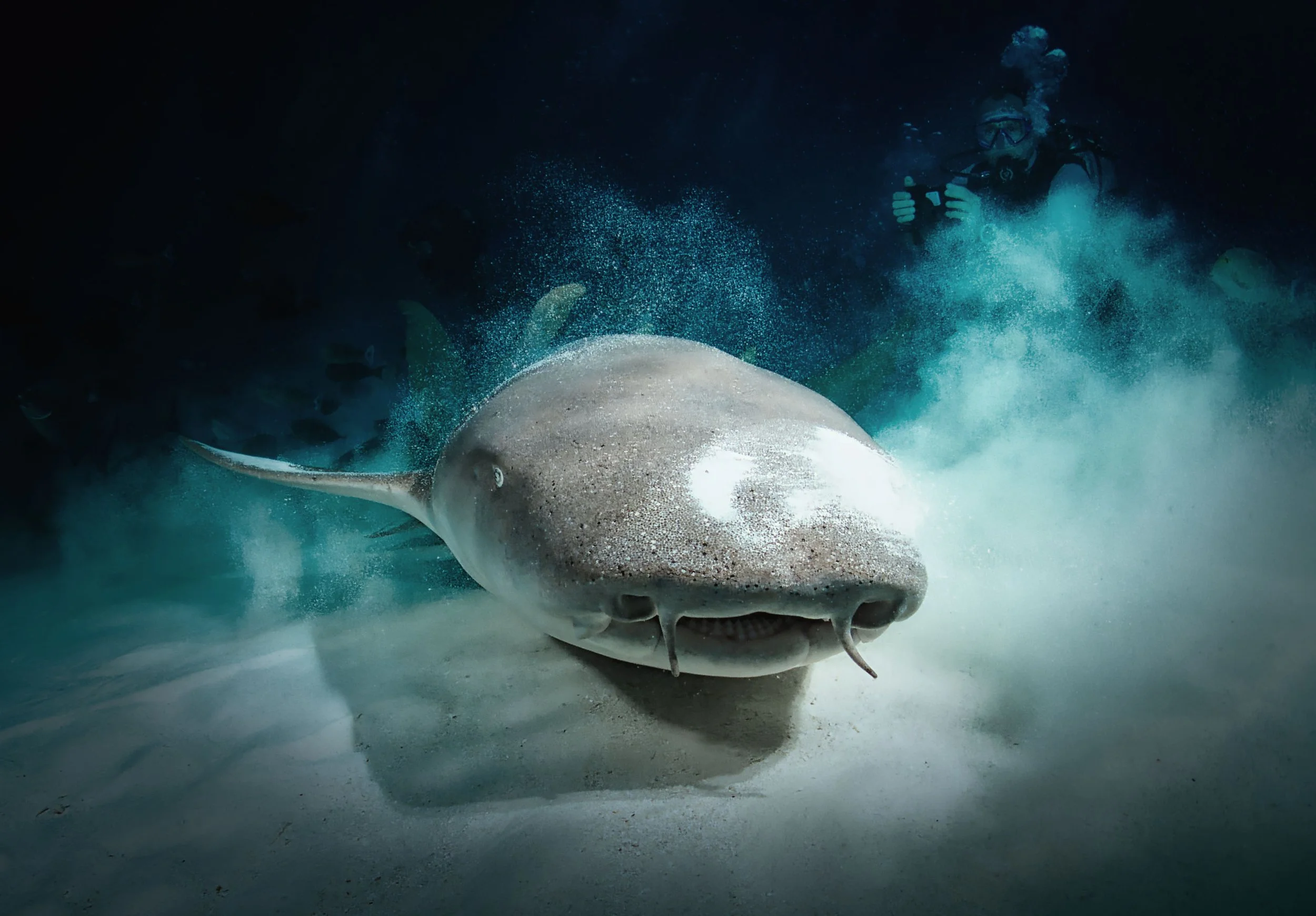 backscatter, Maldives, 2025