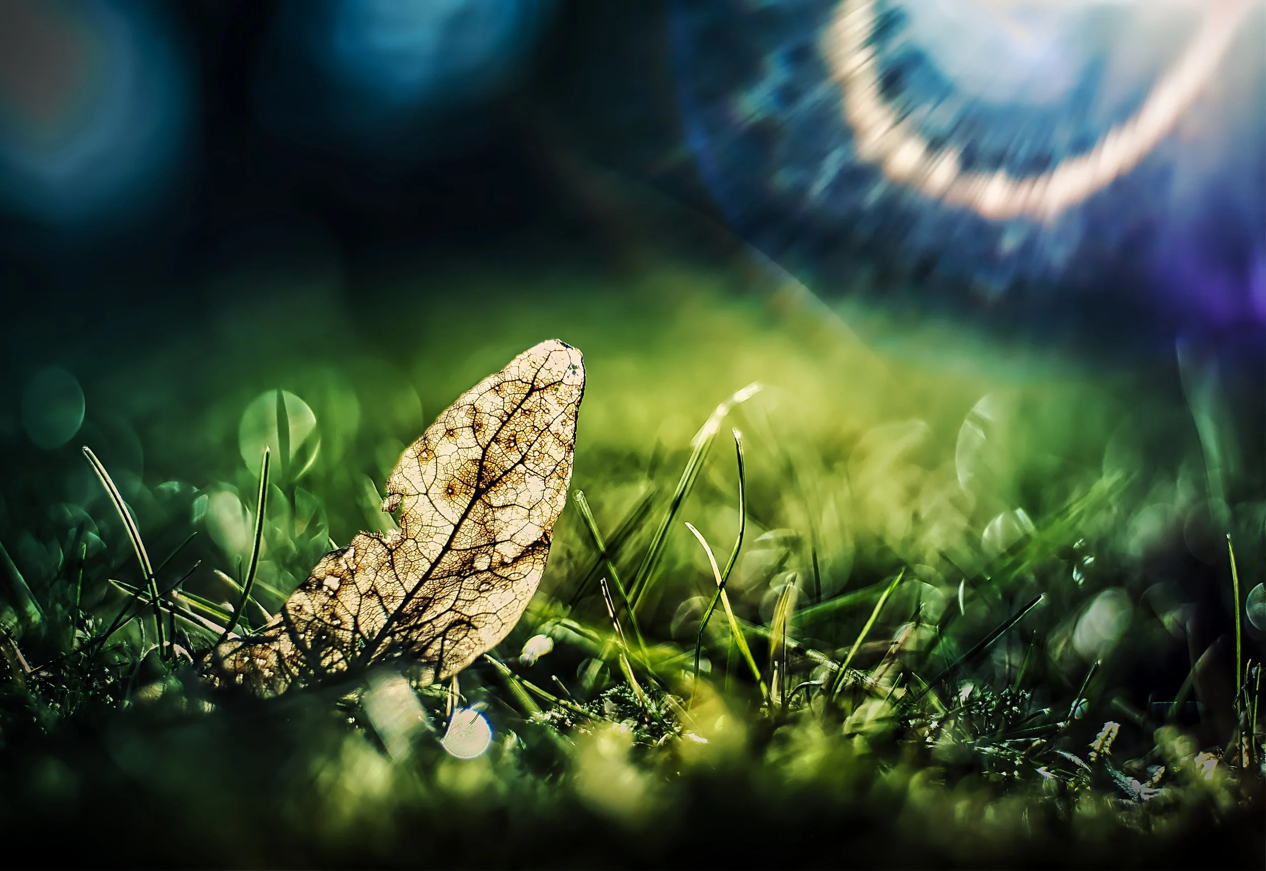 flares, Germany, 2026