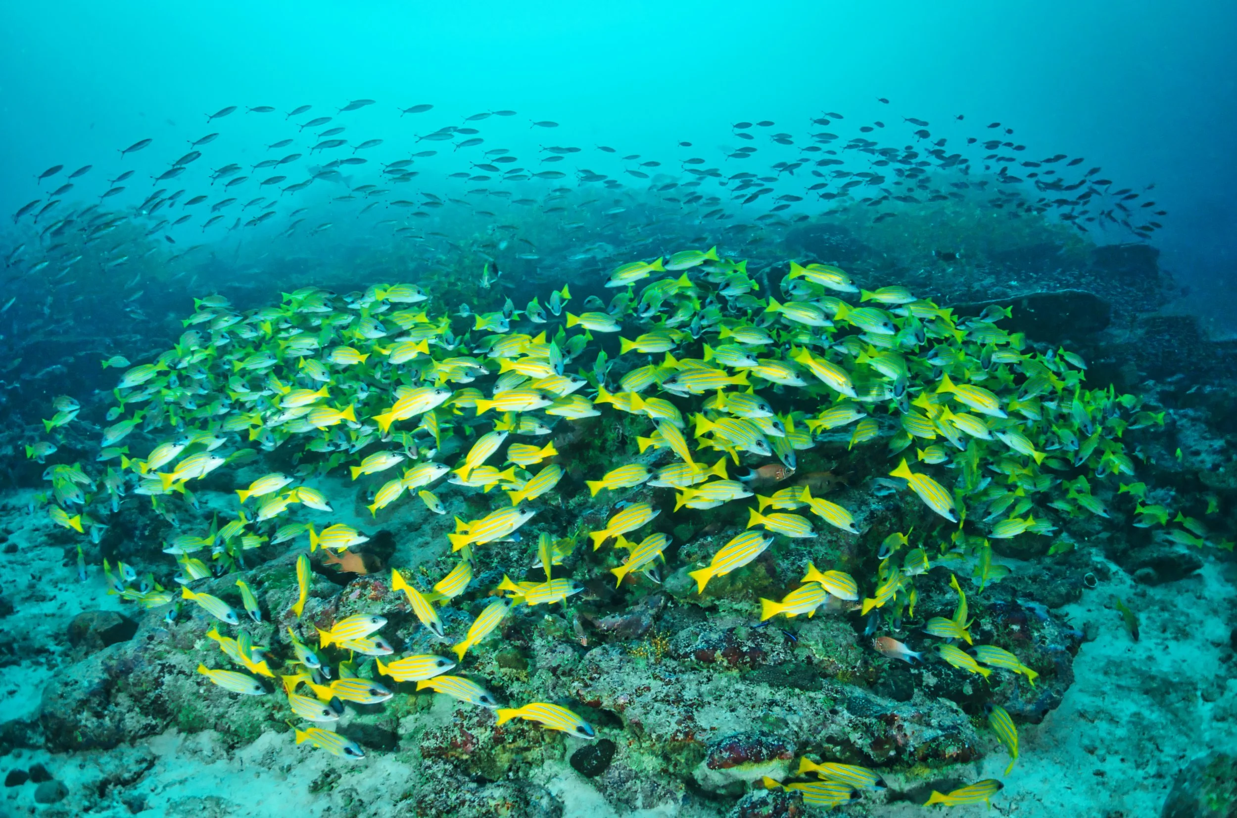 clouds, maldives, 2025