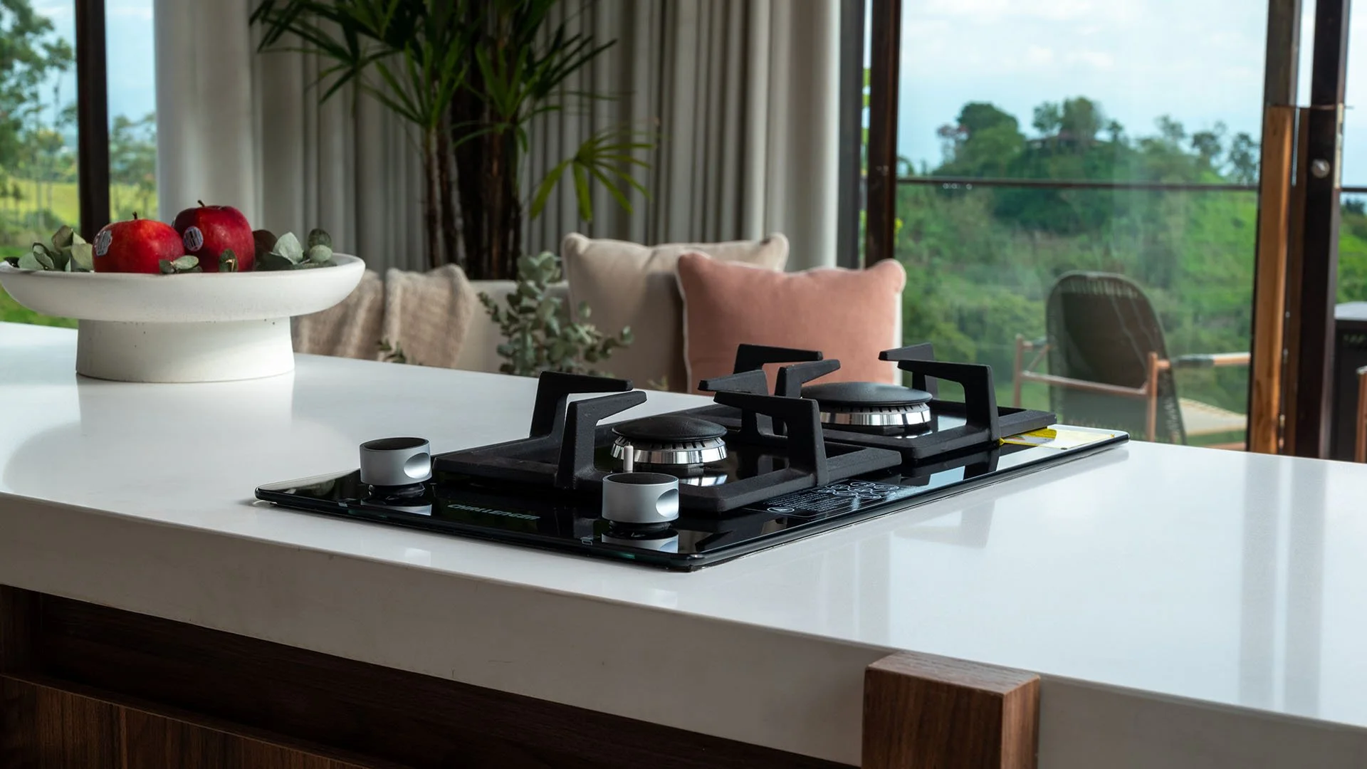 Encimera de cocina con estufa de gas y plato de frutas con manzanas, en un espacio con vista a la naturaleza y muebles decorativos.