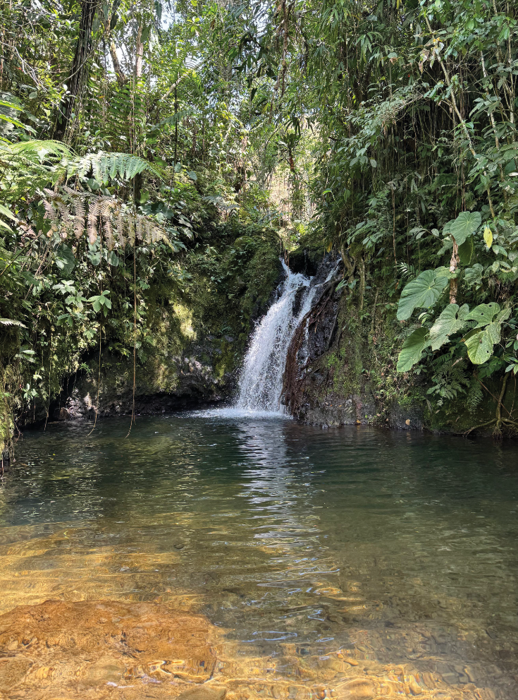 Experiencias: Cascada