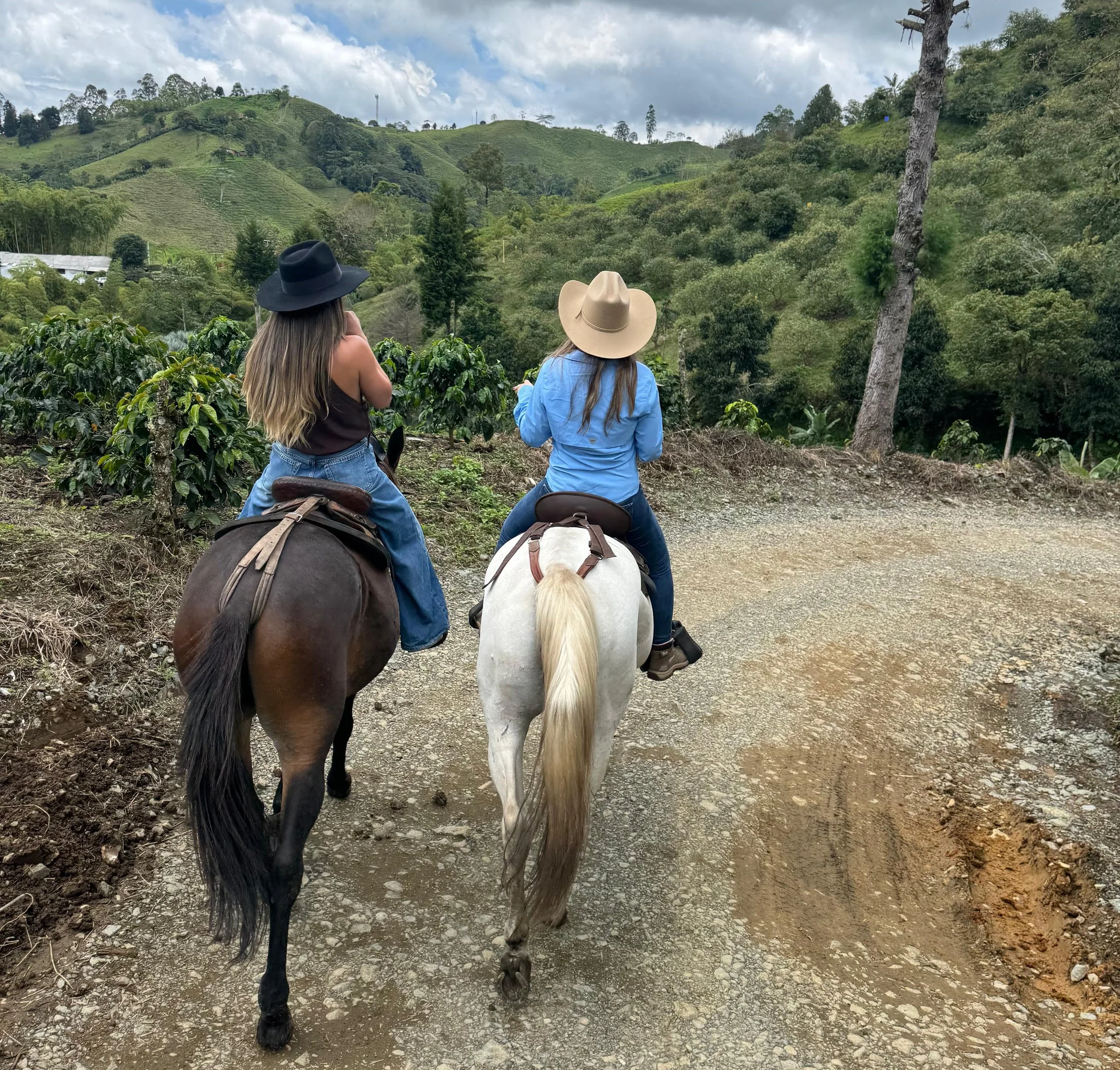 Experiencias: Paseo Equino