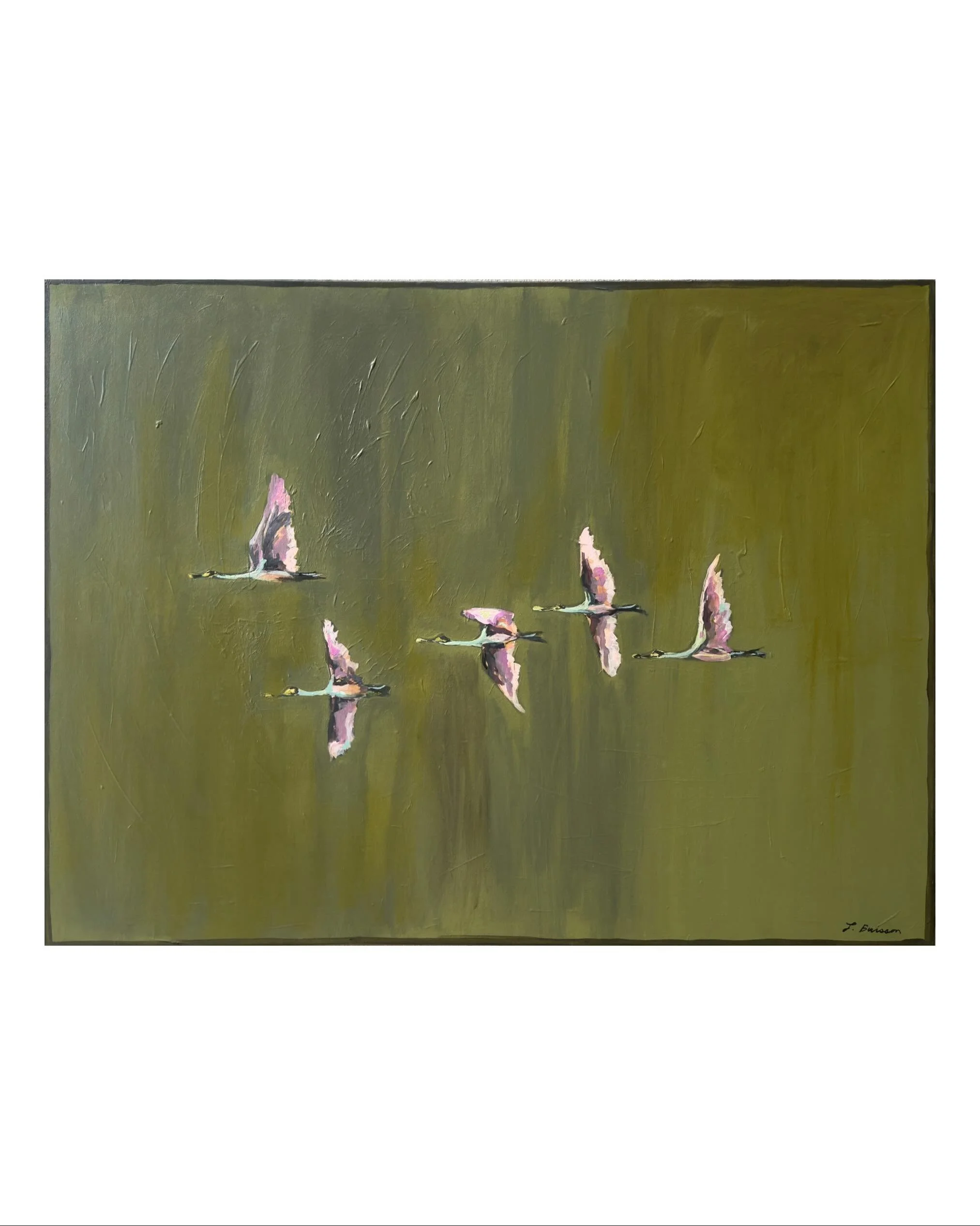 Back Down South 🕊️
40x30