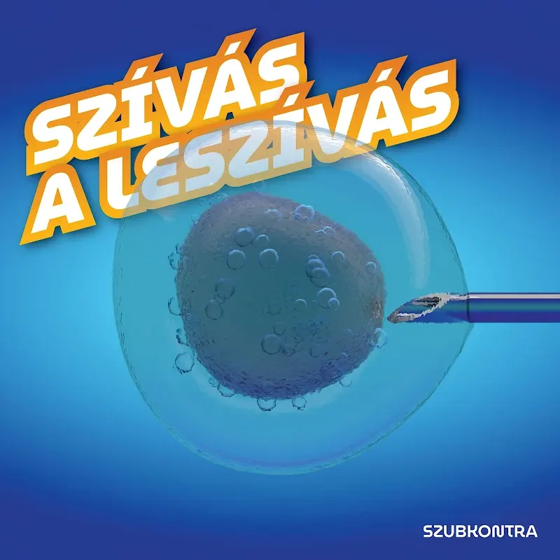 Csetepaté a pete körül