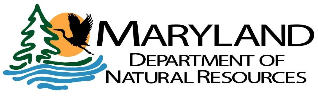 Maryland DNR Youth-Only Trout Fishing Day