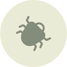 Silhouette of a bug or insect against a light background with a dark circular border.