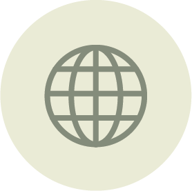 A globe icon with latitude and longitude lines on a light background.
