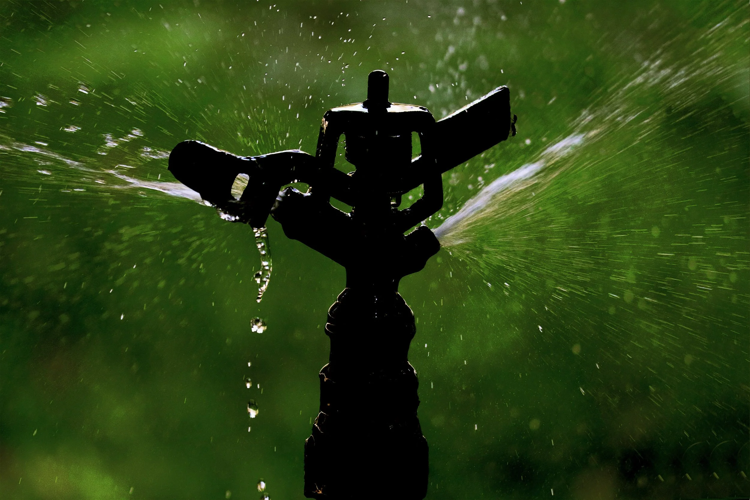 Close up shot of a sprinkler.