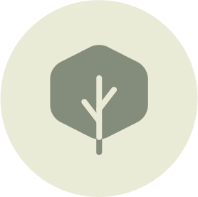 Minimalist icon of a tree with a hexagonal background.