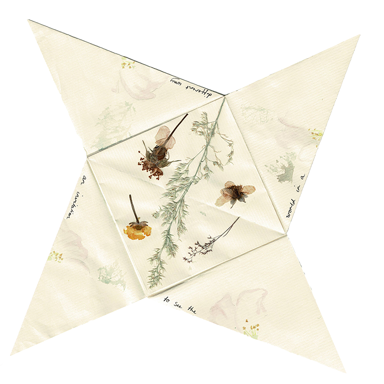 A folded paper fortune teller with pressed flowers and handwritten text inside.