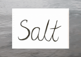 A sign with the word 'Salt' written on it, placed over calm water.